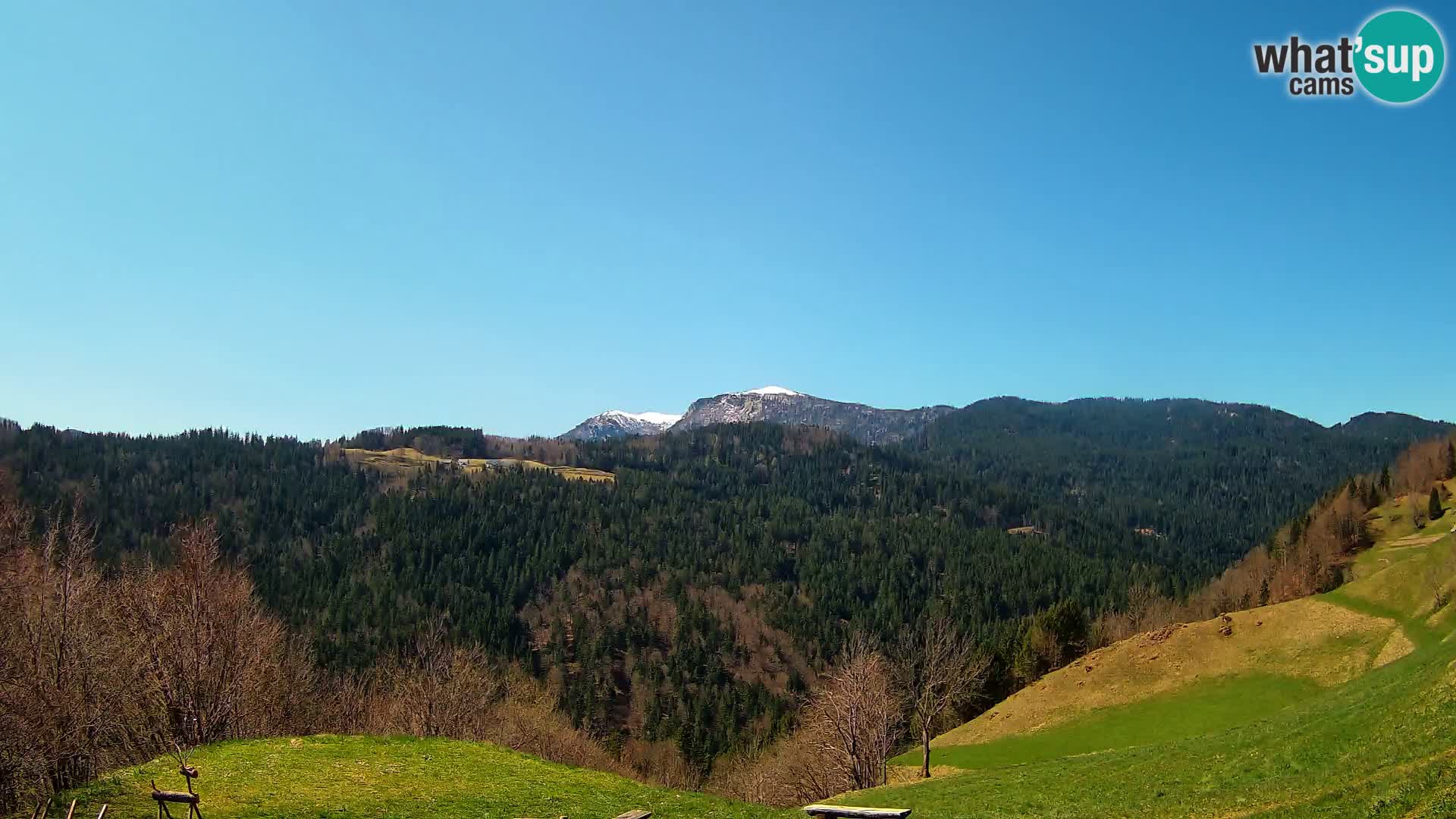 Webcam Brunarica Dražgoše – Vista live sul Ratitovec (1666 m)