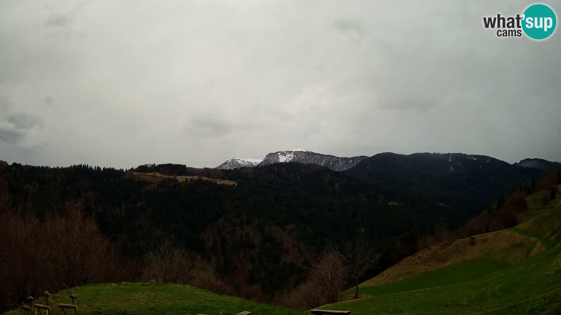 Webcam Brunarica Dražgoše – Live View of Ratitovec (1666 m)