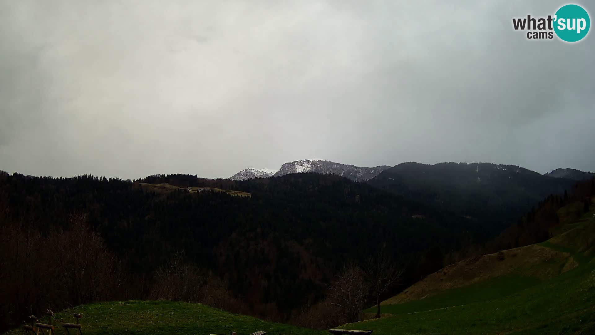 Webcam Brunarica Dražgoše – Live View of Ratitovec (1666 m)