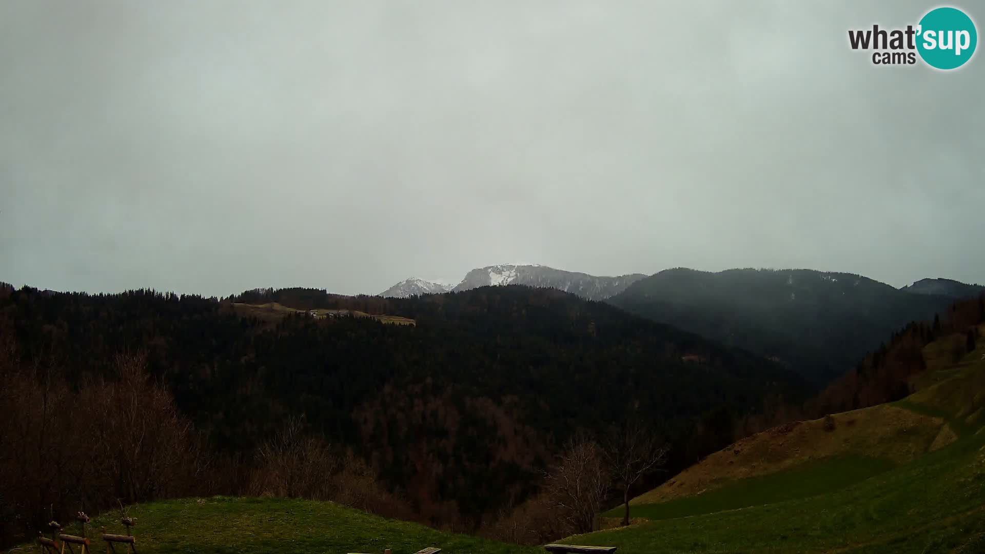 Webcam Brunarica Dražgoše – Live View of Ratitovec (1666 m)