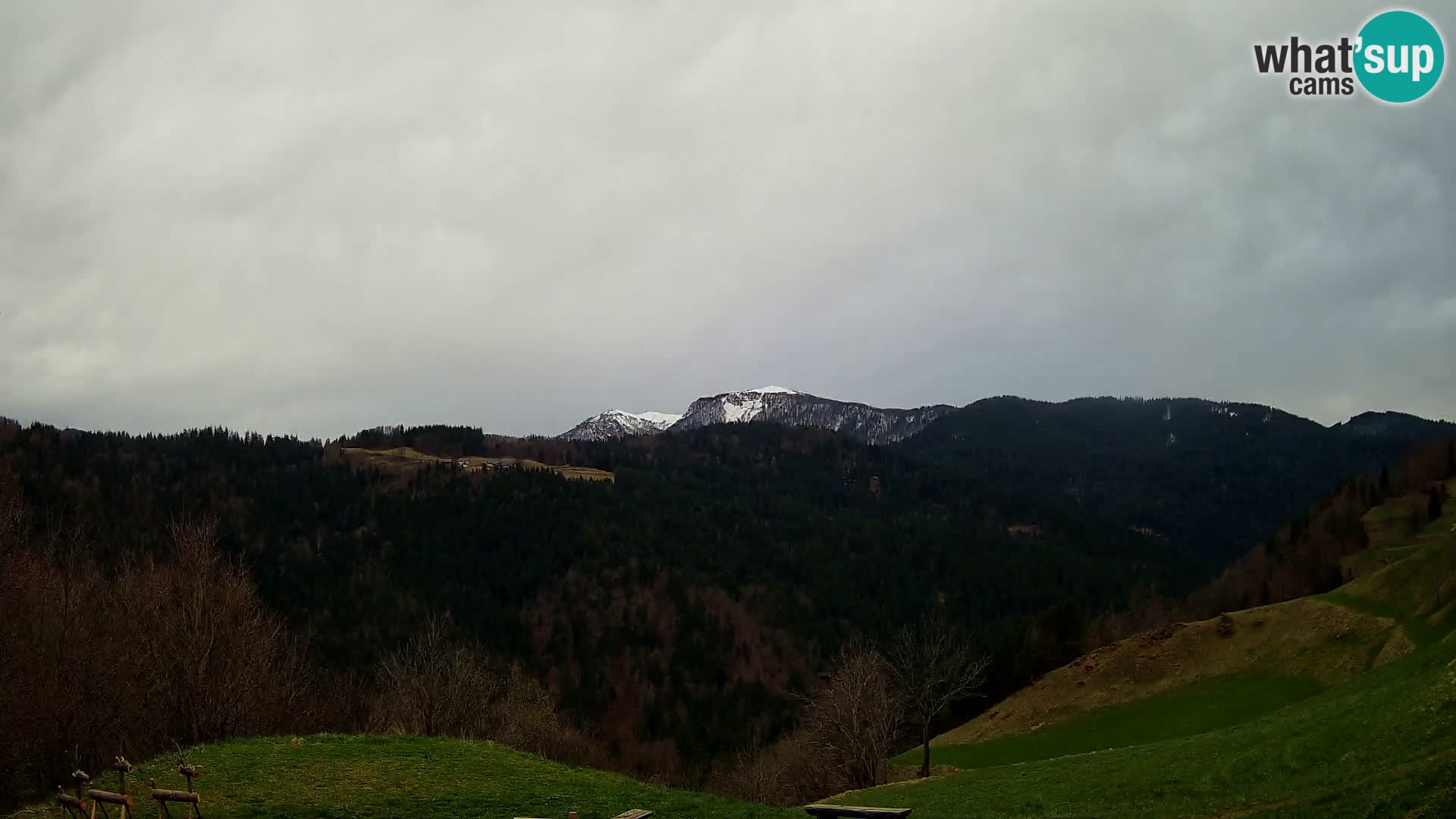 Webcam Brunarica Dražgoše – Live View of Ratitovec (1666 m)