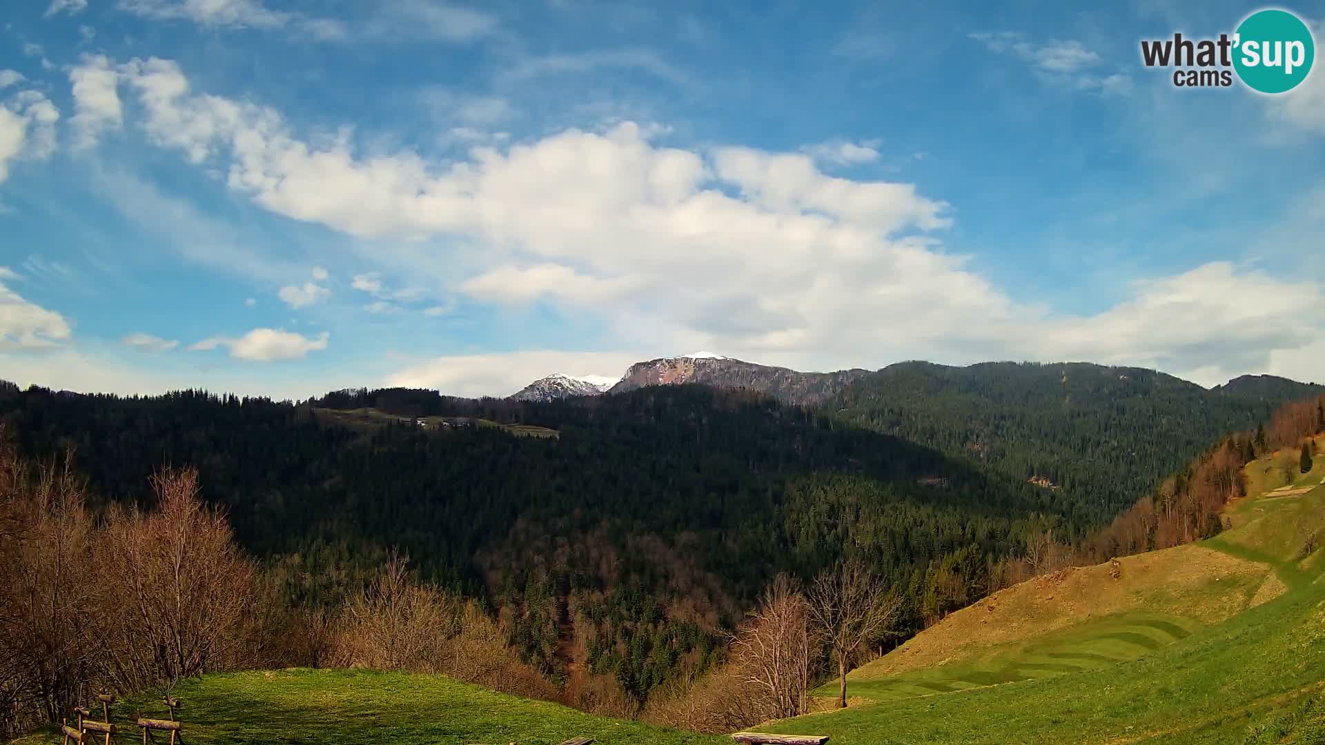 Webcam Brunarica Dražgoše – Live View of Ratitovec (1666 m)