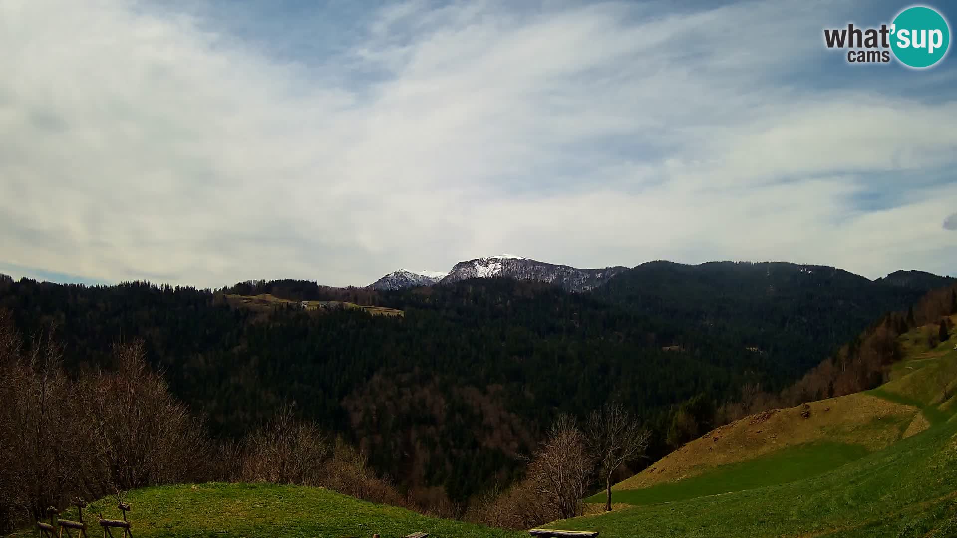 Webcam Brunarica Dražgoše – Live View of Ratitovec (1666 m)