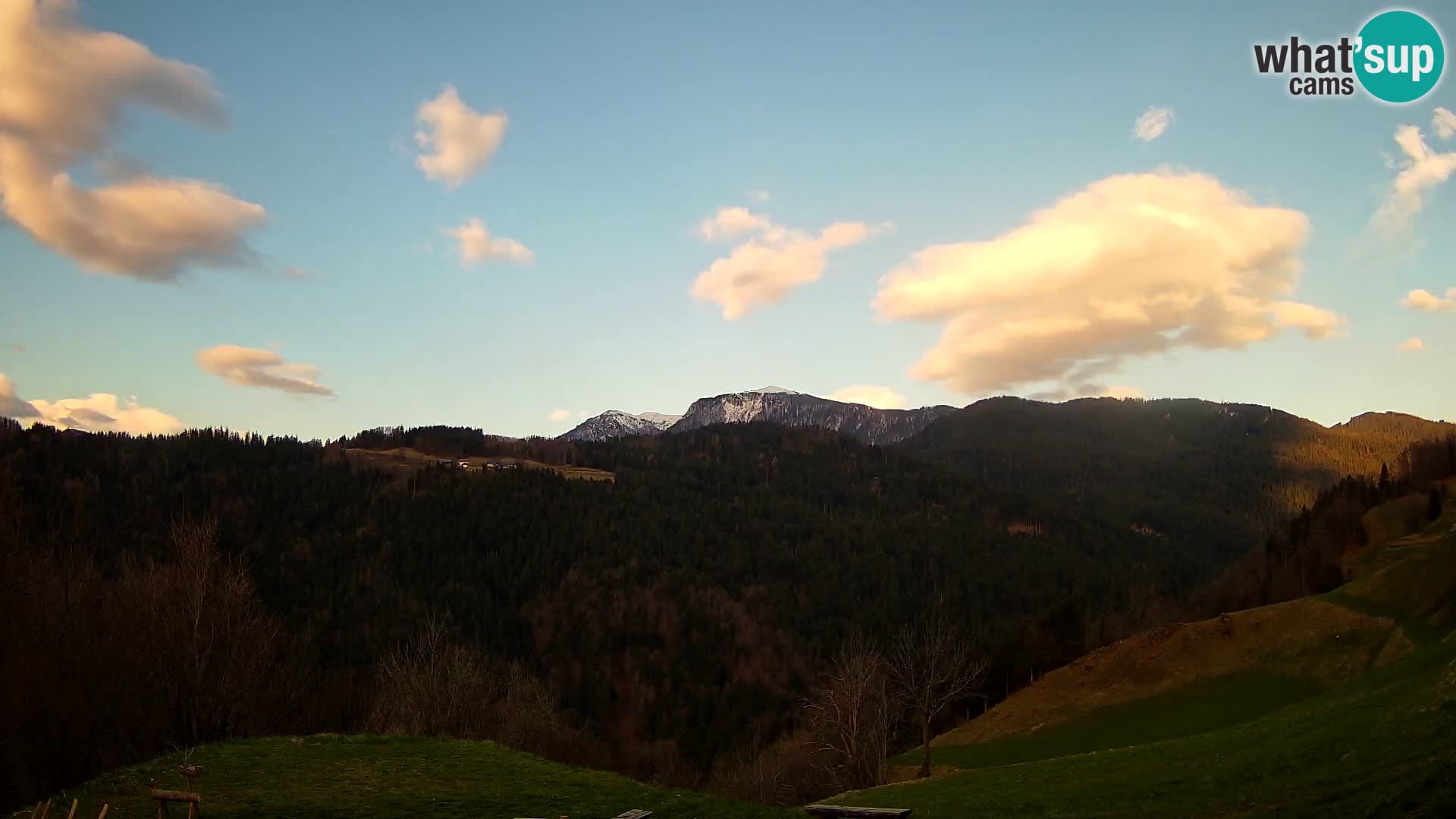 Webcam Brunarica Dražgoše – Live View of Ratitovec (1666 m)