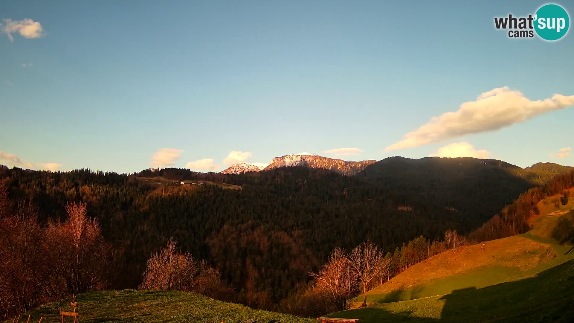 Webcam Brunarica Dražgoše – Live View of Ratitovec (1666 m)