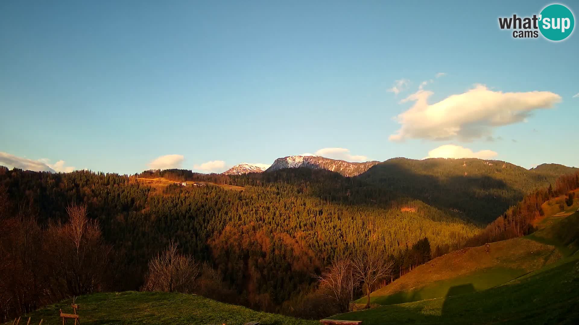 Webcam Brunarica Dražgoše – Live View of Ratitovec (1666 m)