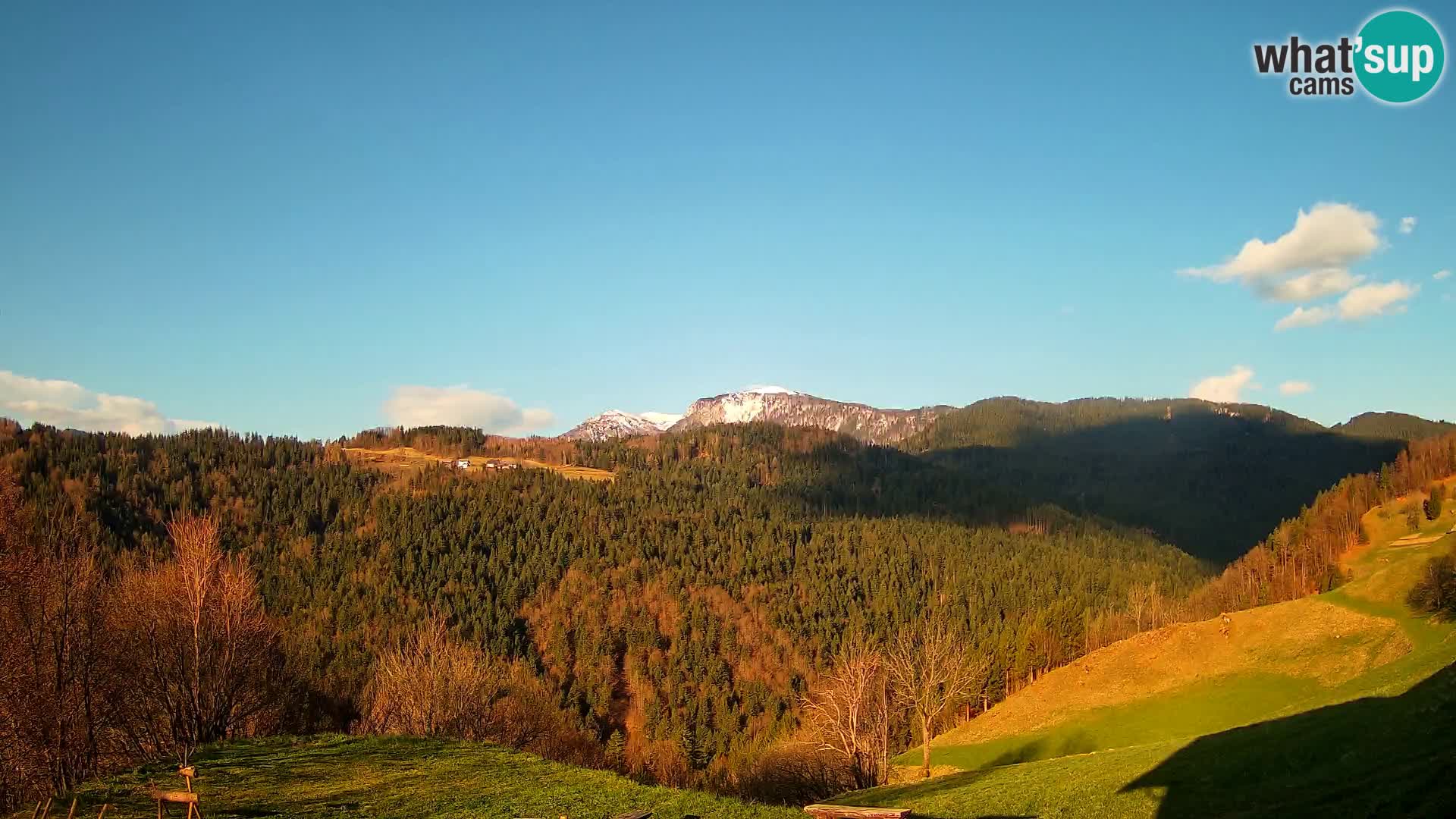 Webcam Brunarica Dražgoše – Live View of Ratitovec (1666 m)