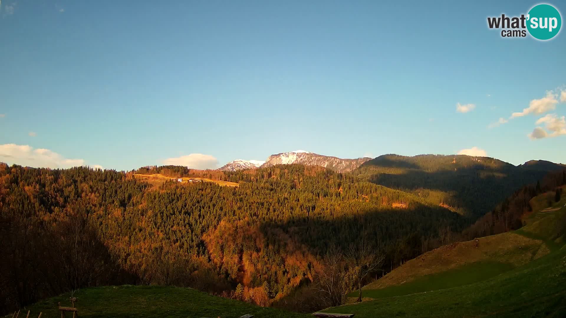 Webcam Brunarica Dražgoše – Live View of Ratitovec (1666 m)