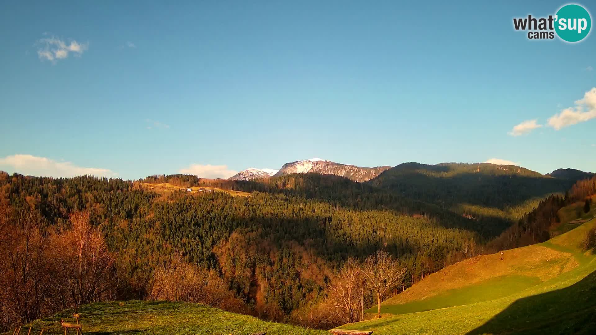 Webcam Brunarica Dražgoše – Live View of Ratitovec (1666 m)
