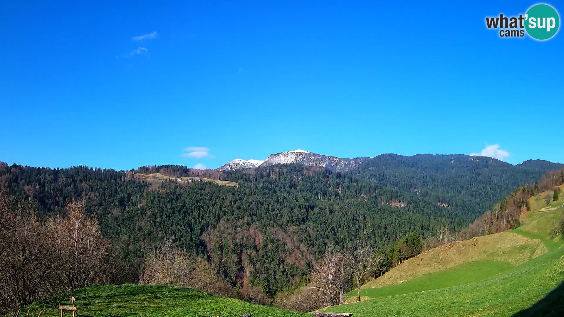 Webcam Brunarica Dražgoše – Live View of Ratitovec (1666 m)