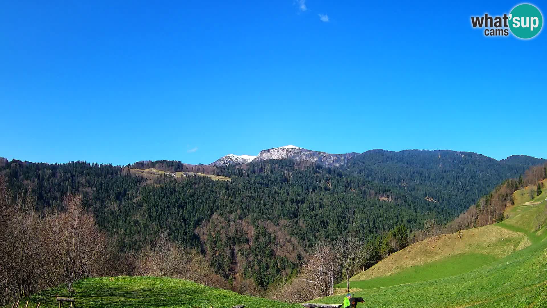 Webcam Brunarica Dražgoše – Live View of Ratitovec (1666 m)