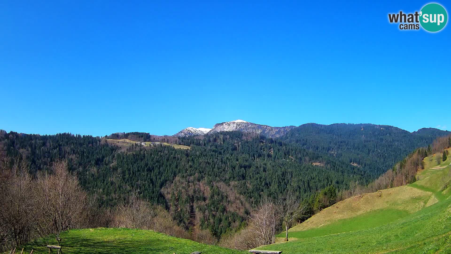 Webcam Brunarica Dražgoše – Live View of Ratitovec (1666 m)