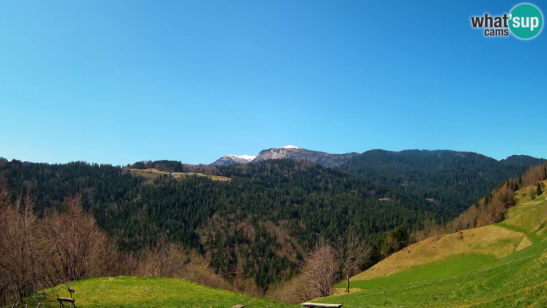 Webcam Brunarica Dražgoše – Liveblick auf Ratitovec (1666 m)