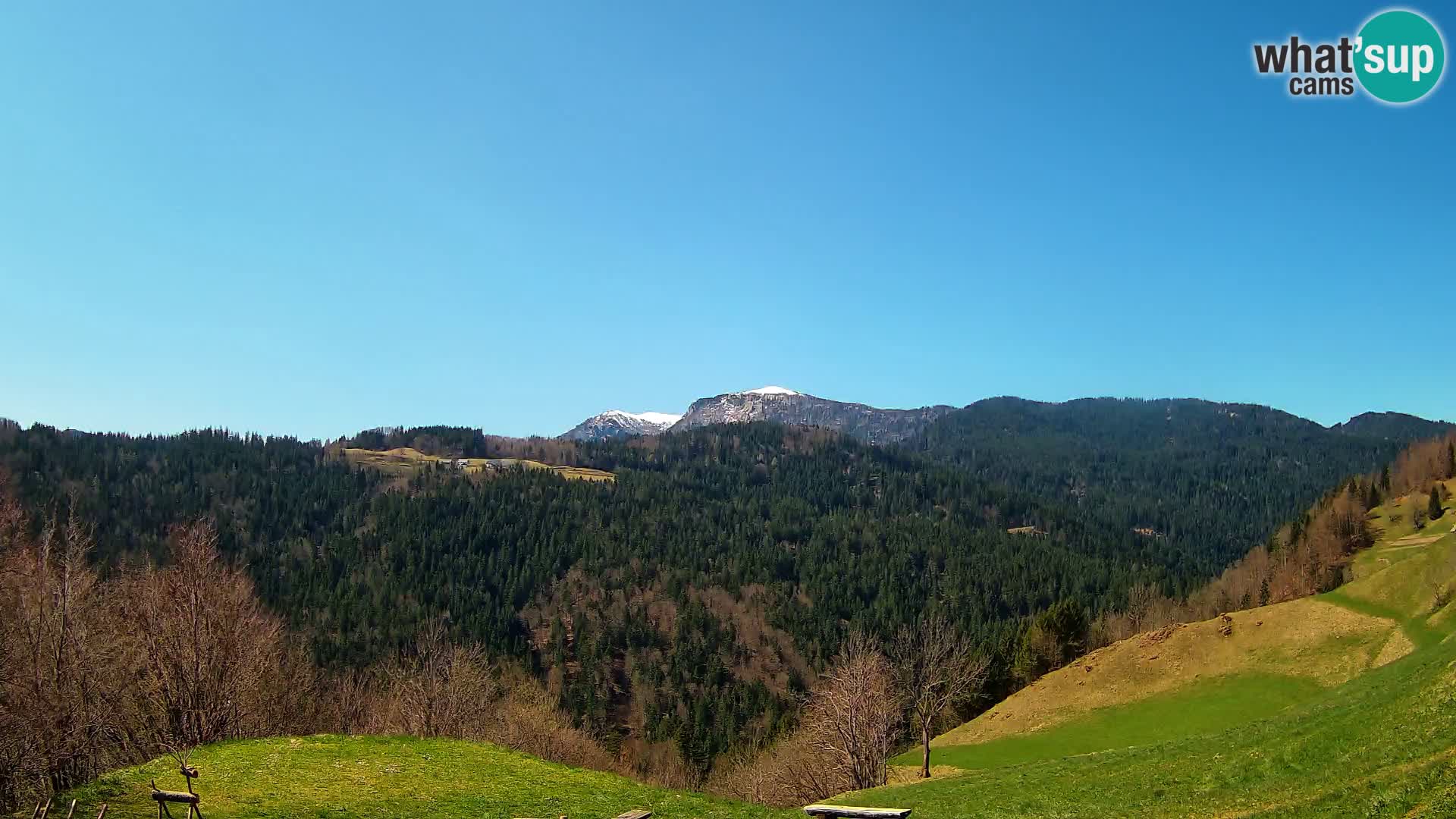 Webcam Brunarica Dražgoše – Live View of Ratitovec (1666 m)