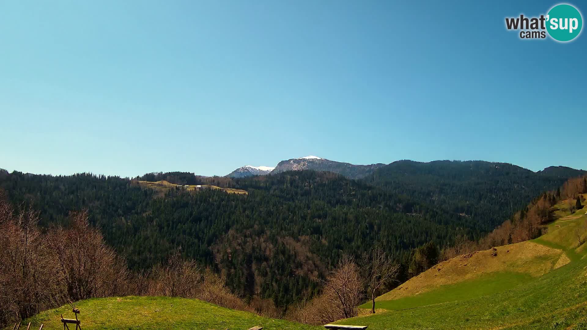 Webcam Brunarica Dražgoše – Live View of Ratitovec (1666 m)