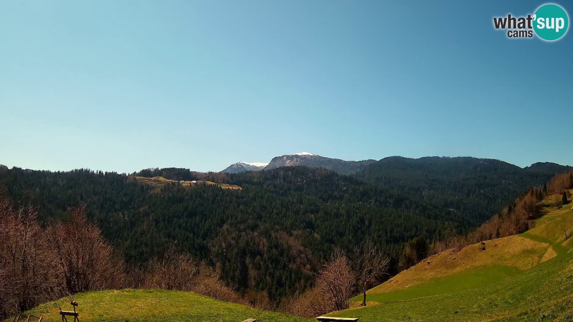 Webcam Brunarica Dražgoše – Live View of Ratitovec (1666 m)