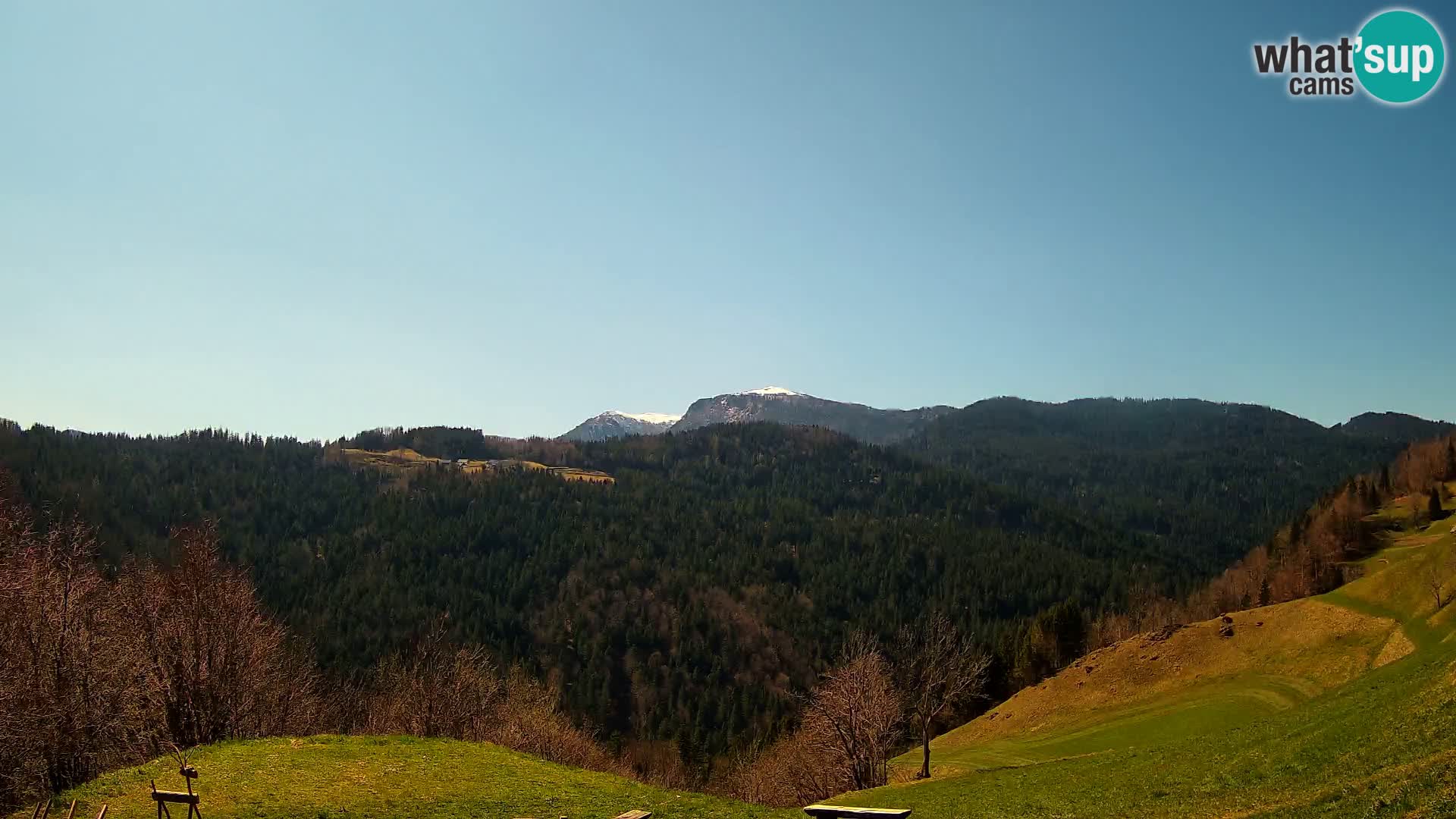 Webcam Brunarica Dražgoše – Live View of Ratitovec (1666 m)