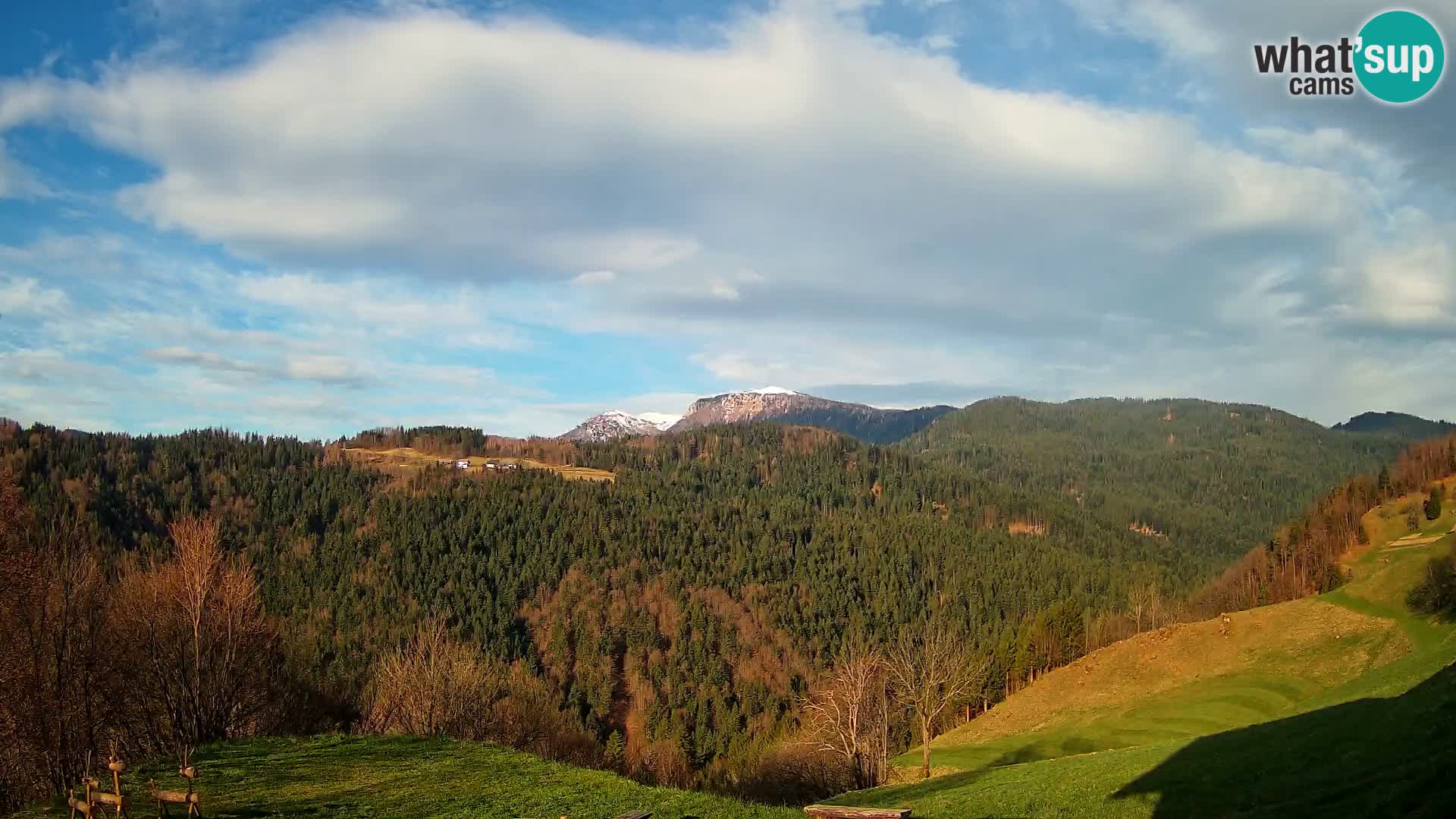 Webcam Brunarica Dražgoše – Live View of Ratitovec (1666 m)