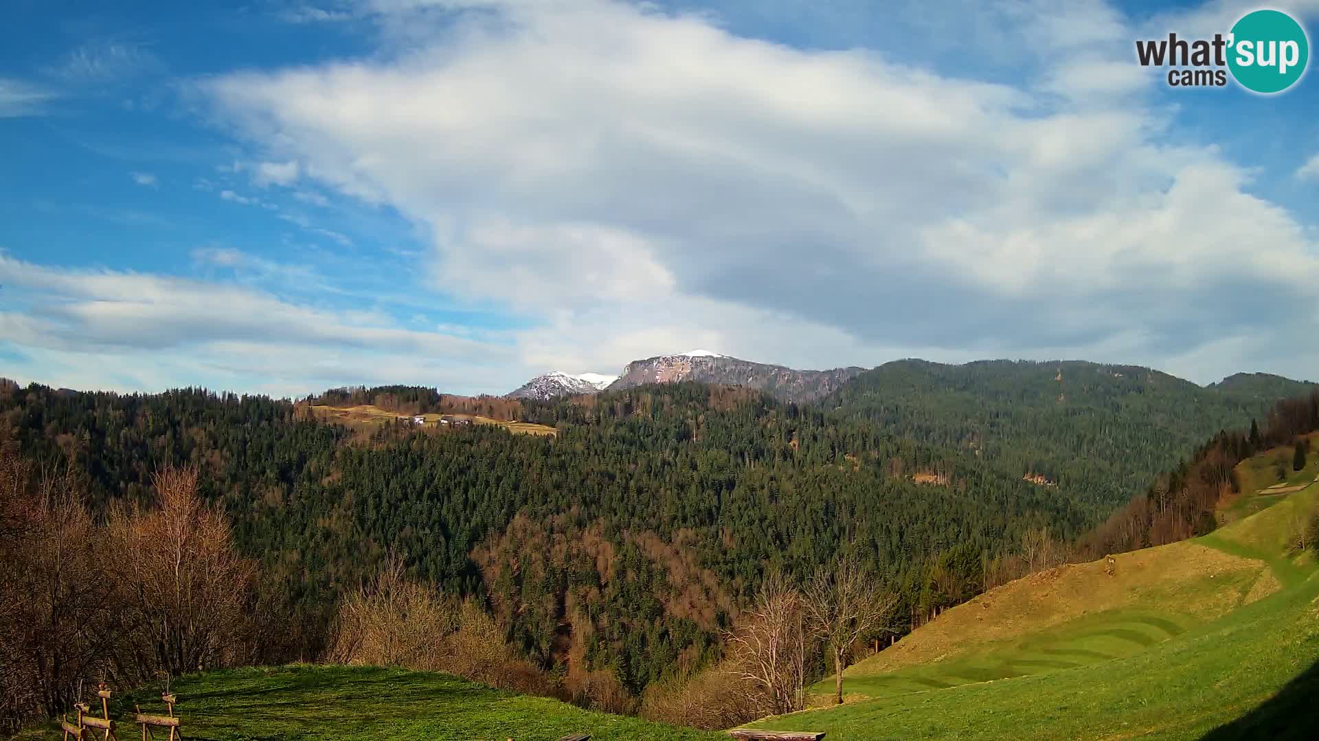 Webcam Brunarica Dražgoše – Live View of Ratitovec (1666 m)