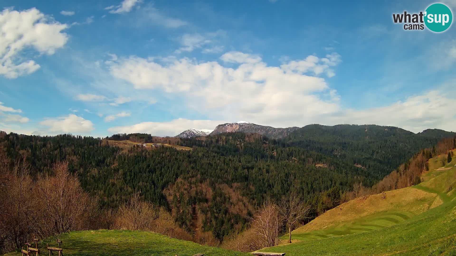 Webcam Brunarica Dražgoše – Live View of Ratitovec (1666 m)