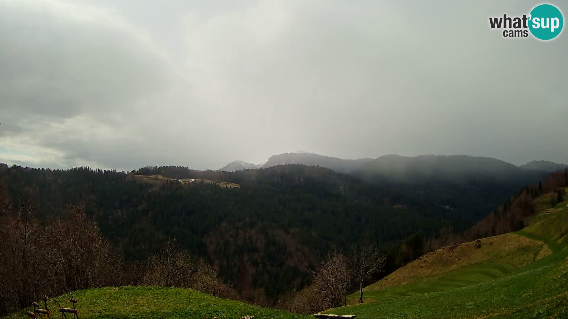 Webcam Brunarica Dražgoše – Live View of Ratitovec (1666 m)