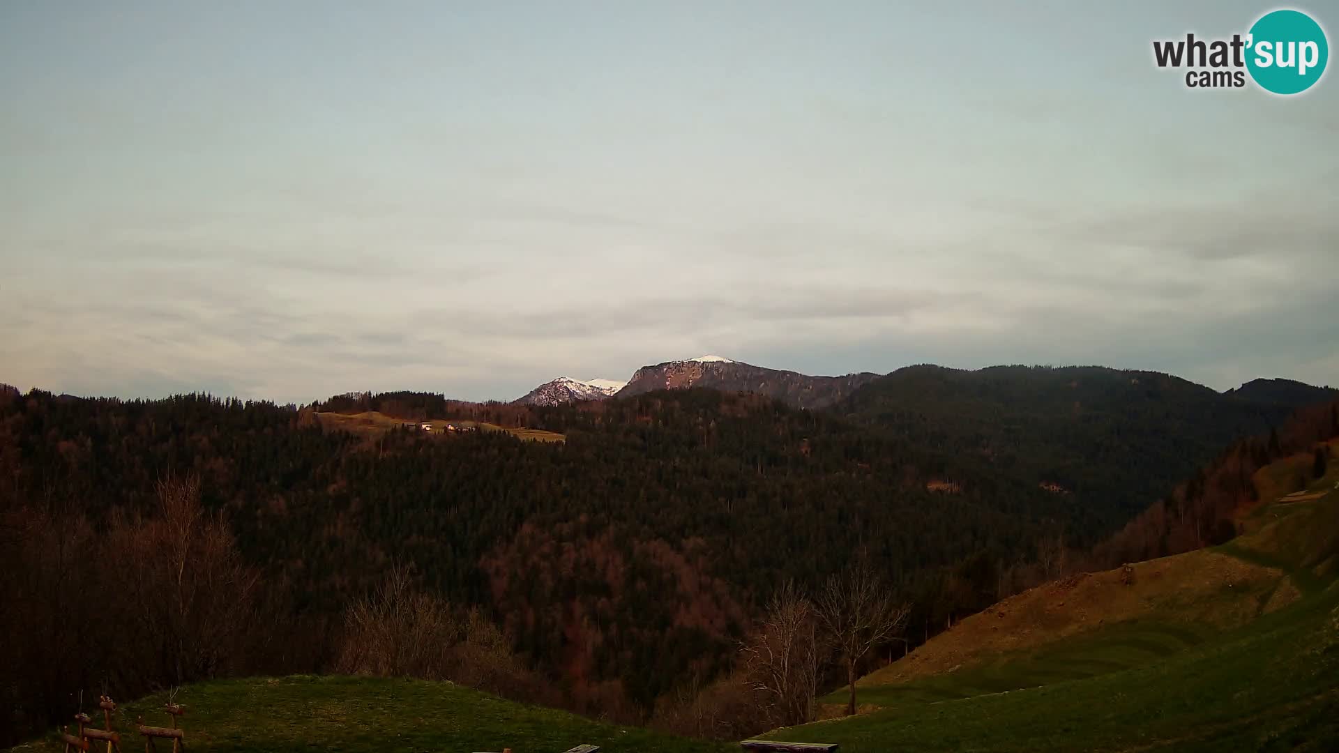 Webcam Brunarica Dražgoše – Live View of Ratitovec (1666 m)