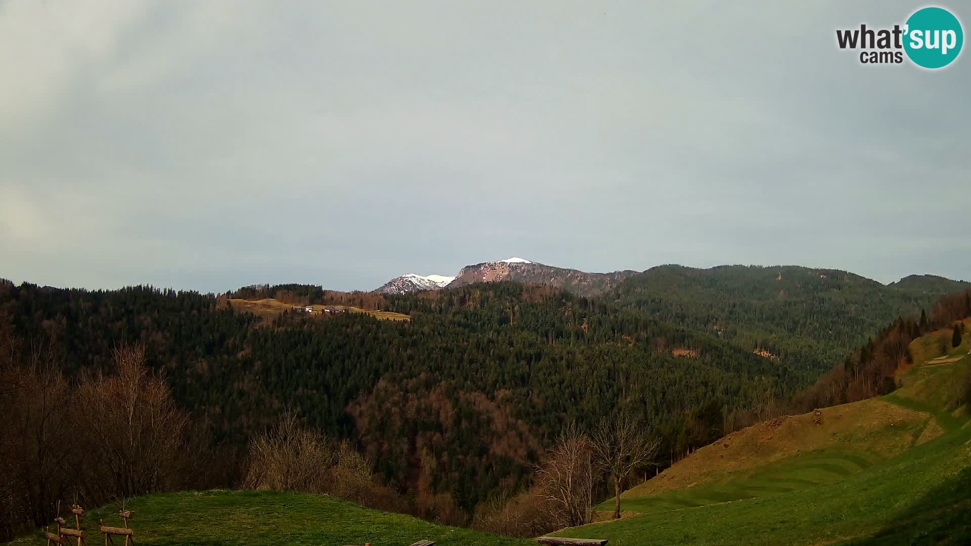 Webcam Brunarica Dražgoše – Live View of Ratitovec (1666 m)