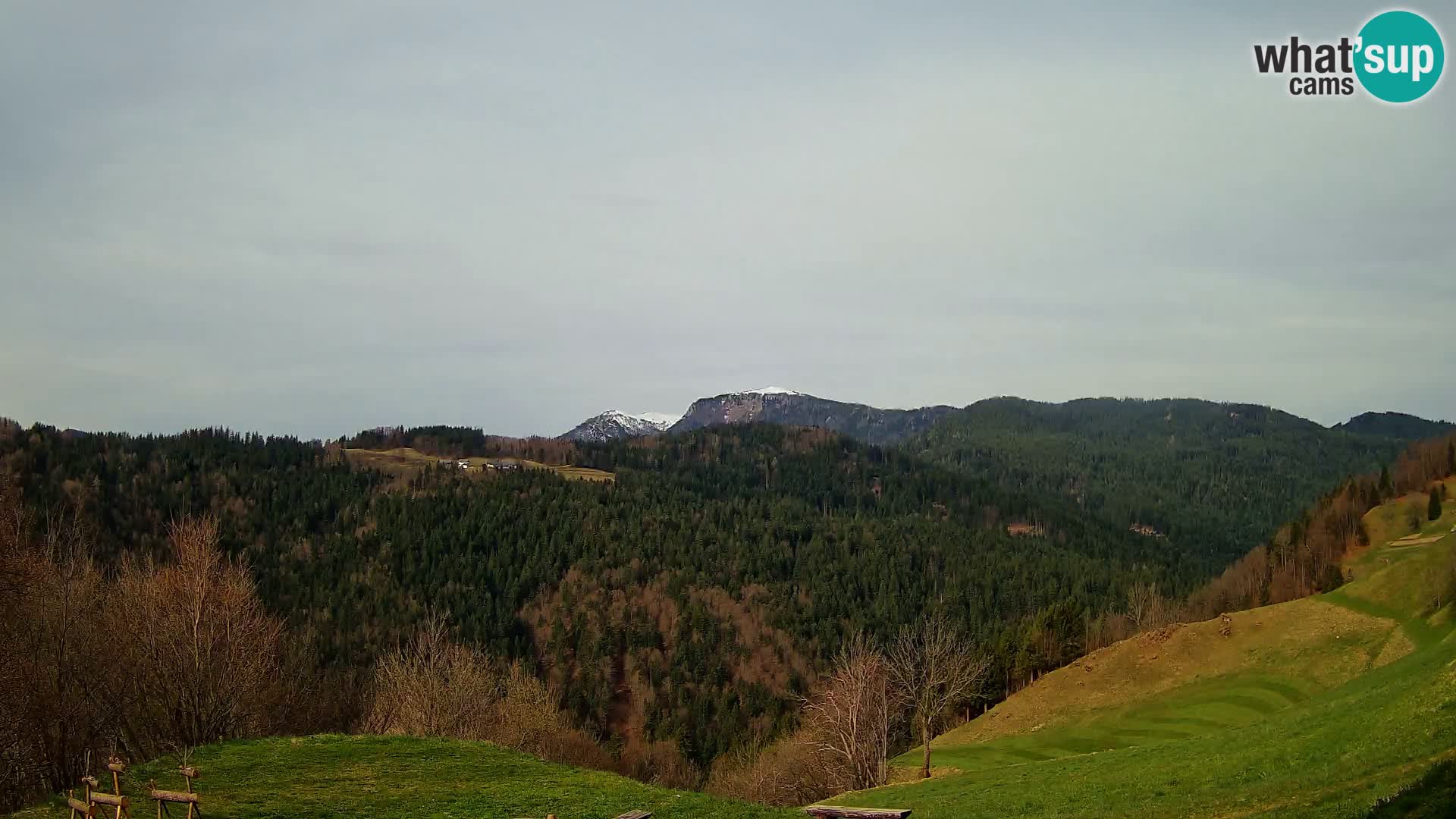 Webcam Brunarica Dražgoše – Liveblick auf Ratitovec (1666 m)