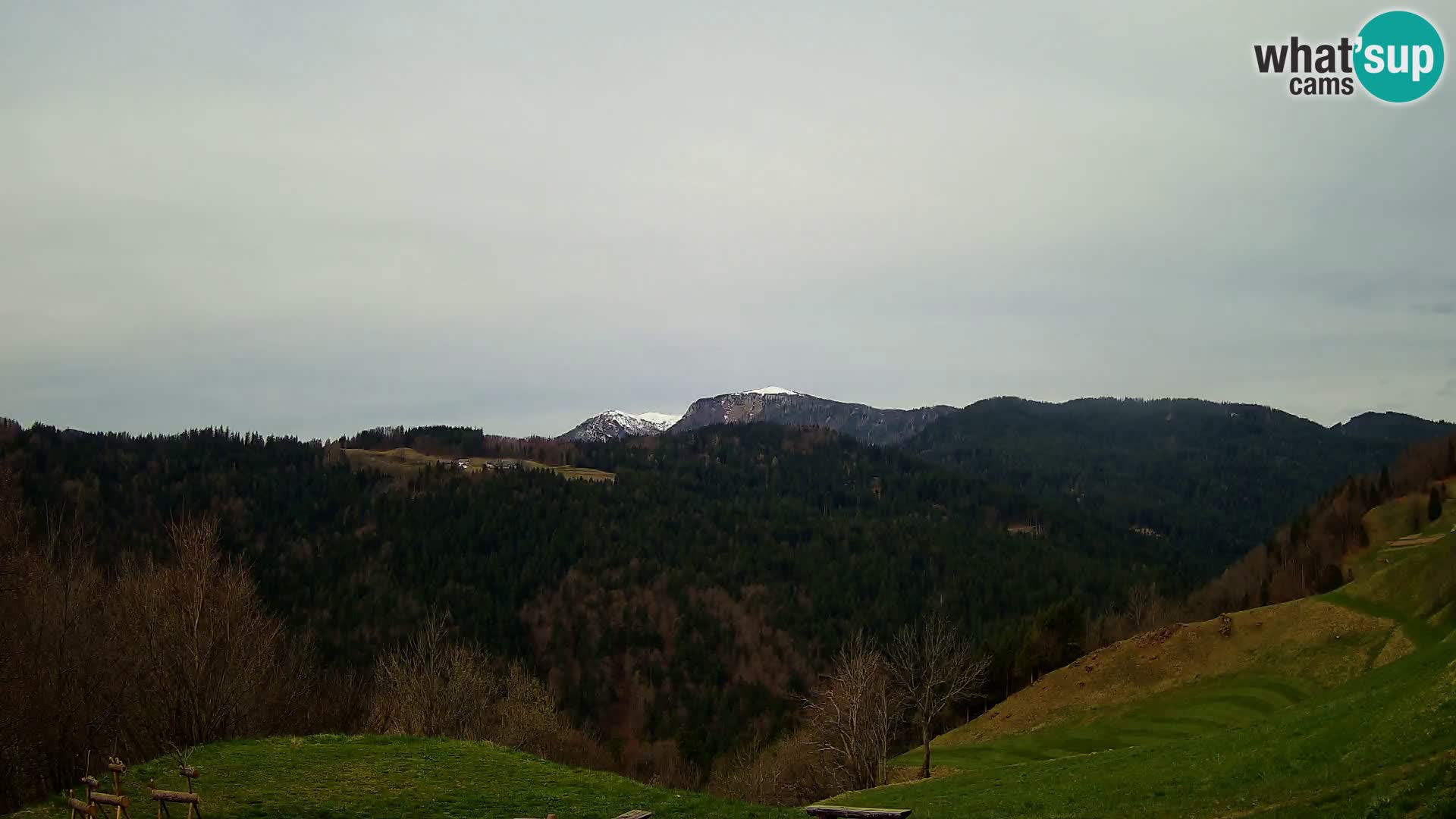 Webcam Brunarica Dražgoše – Live View of Ratitovec (1666 m)