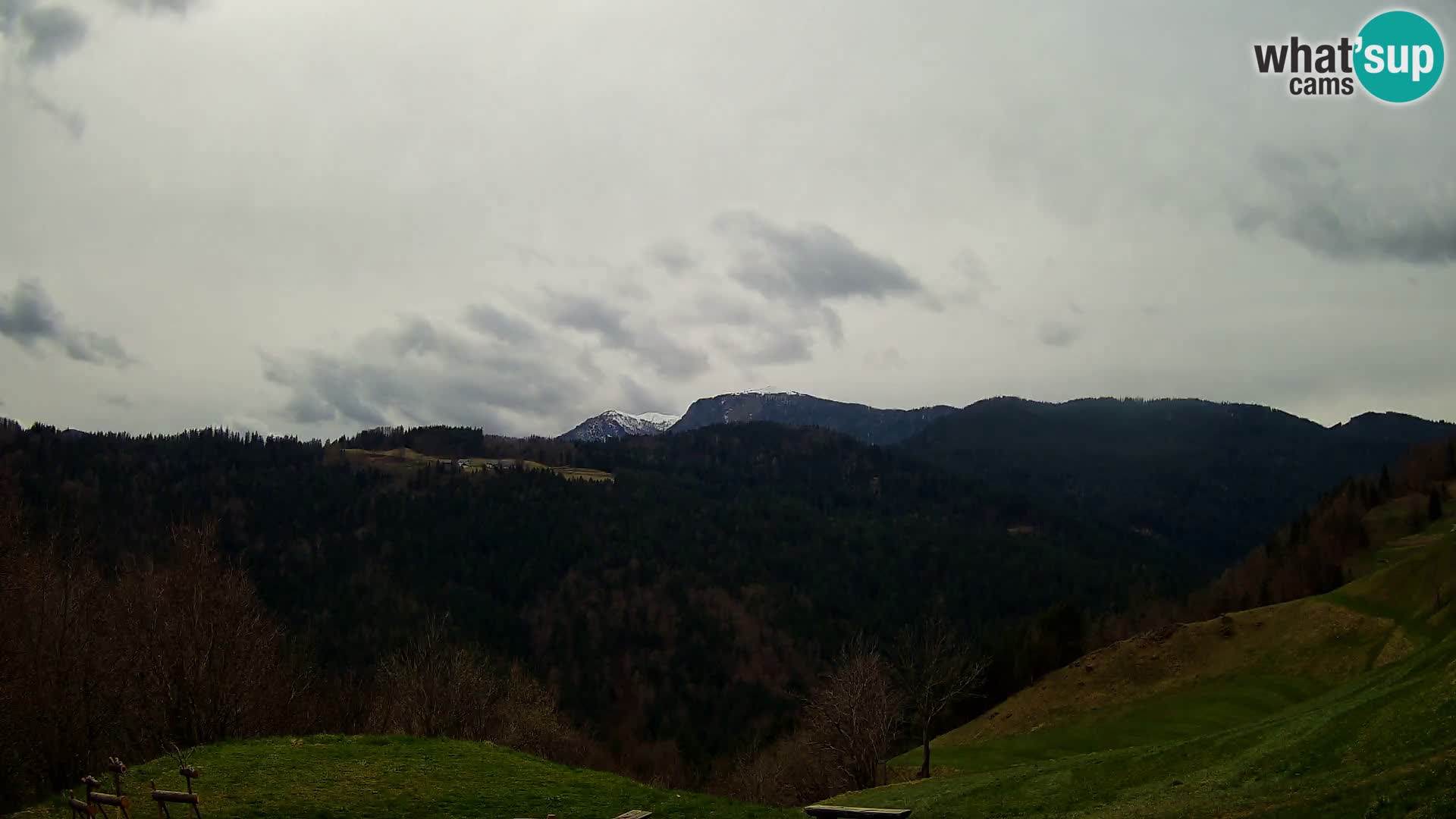 Webcam Brunarica Dražgoše – Liveblick auf Ratitovec (1666 m)