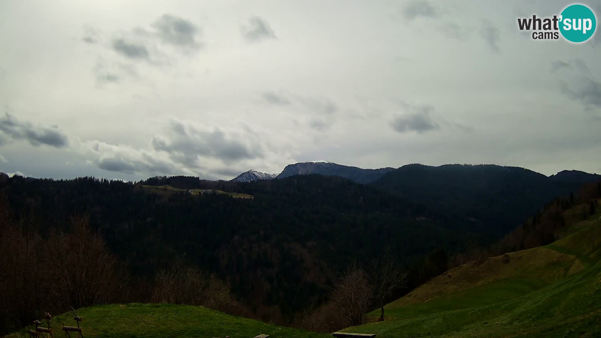 Webcam Brunarica Dražgoše – Live View of Ratitovec (1666 m)