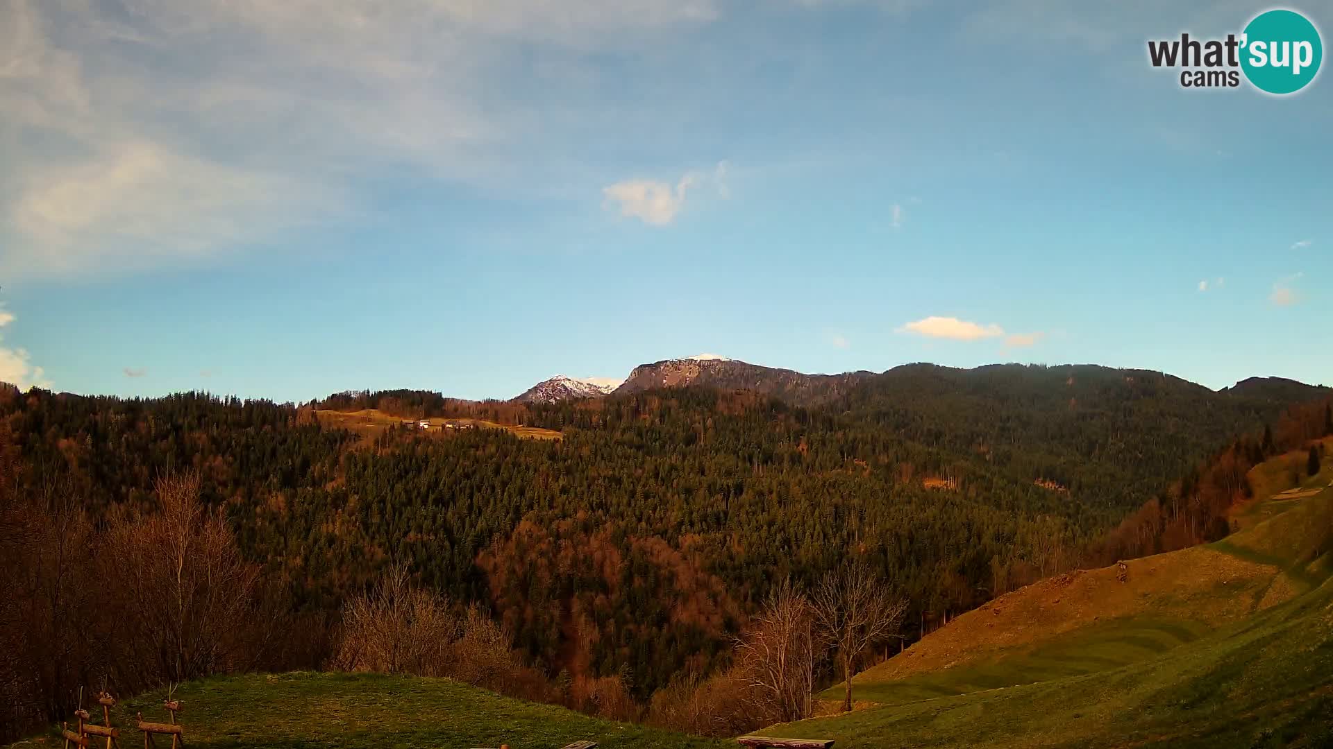 Webcam Brunarica Dražgoše – Live View of Ratitovec (1666 m)