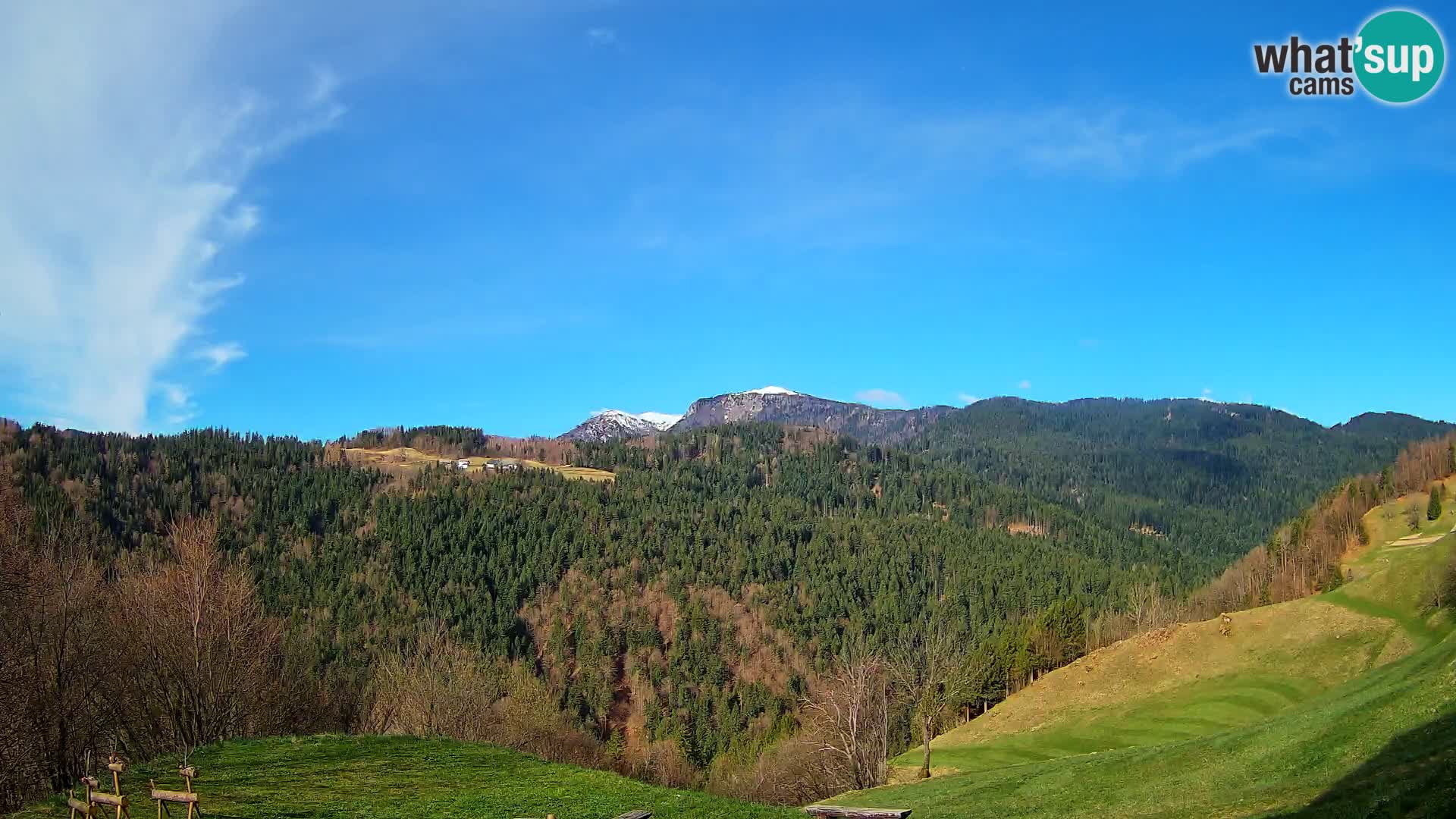 Webcam Brunarica Dražgoše – Vista live sul Ratitovec (1666 m)