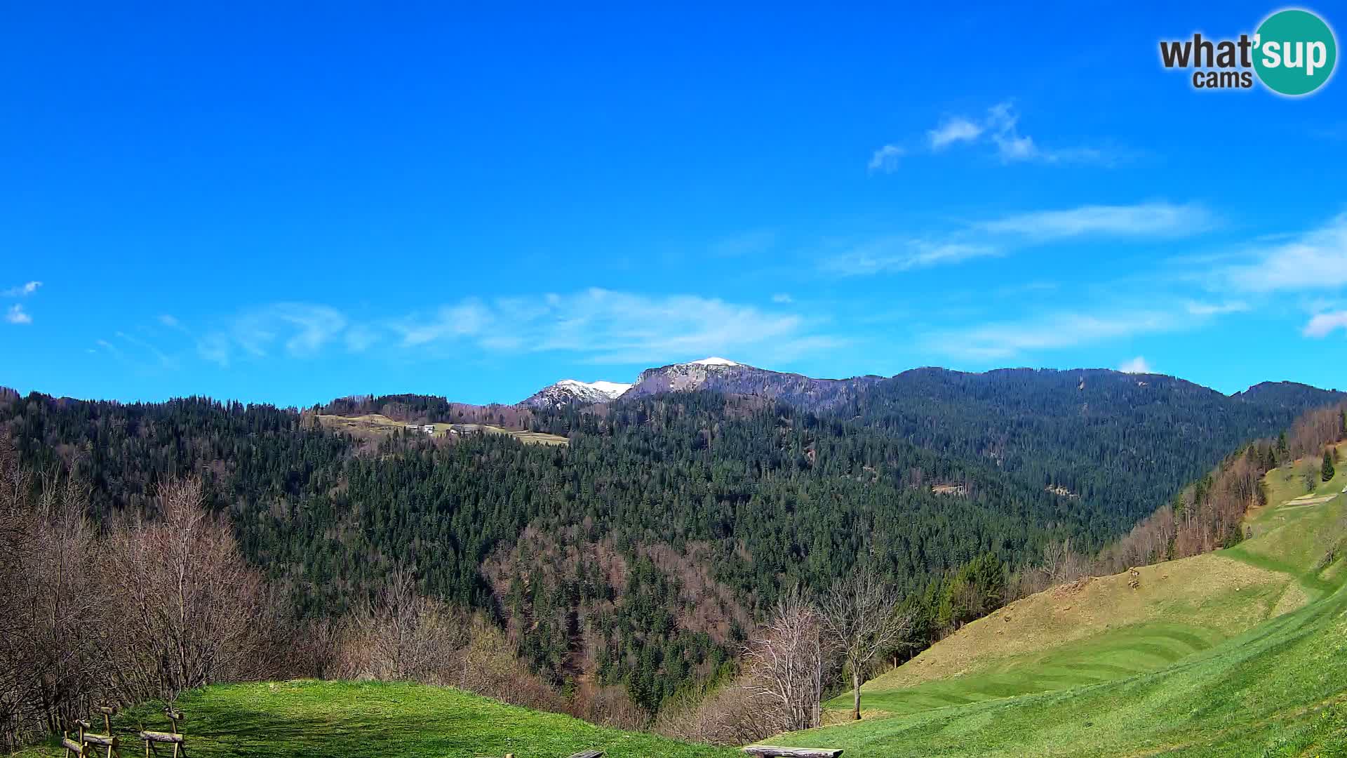 Webcam Brunarica Dražgoše – Vista live sul Ratitovec (1666 m)