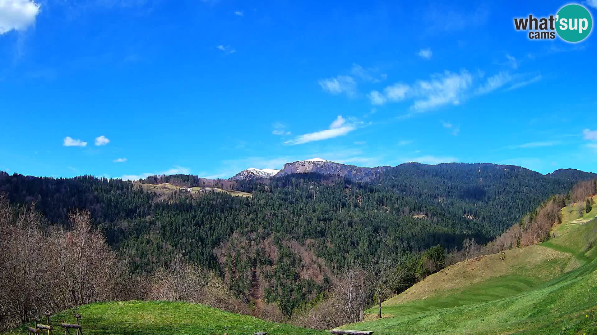 Webcam Brunarica Dražgoše – Vista live sul Ratitovec (1666 m)