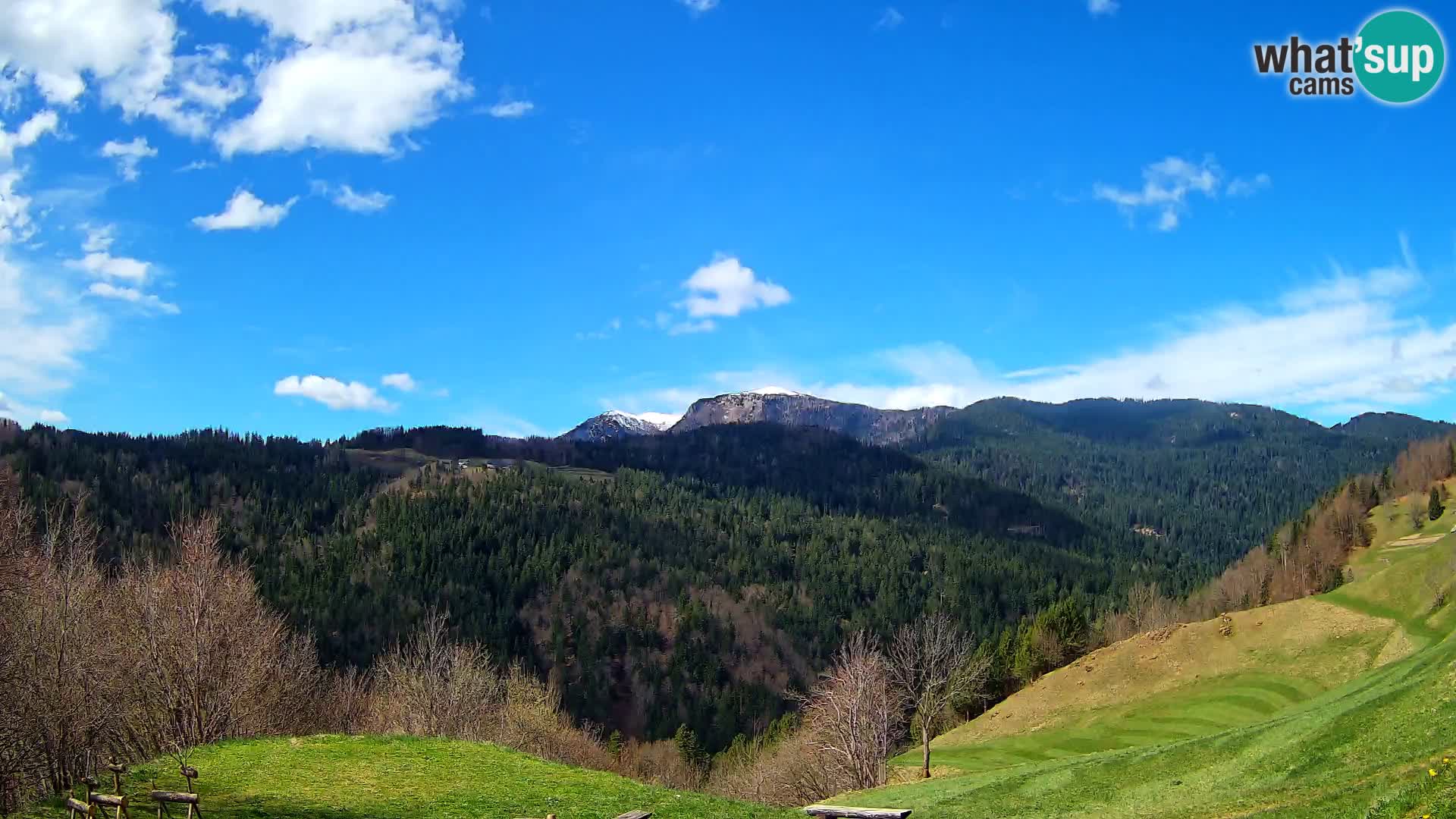 Webcam Brunarica Dražgoše – Live View of Ratitovec (1666 m)