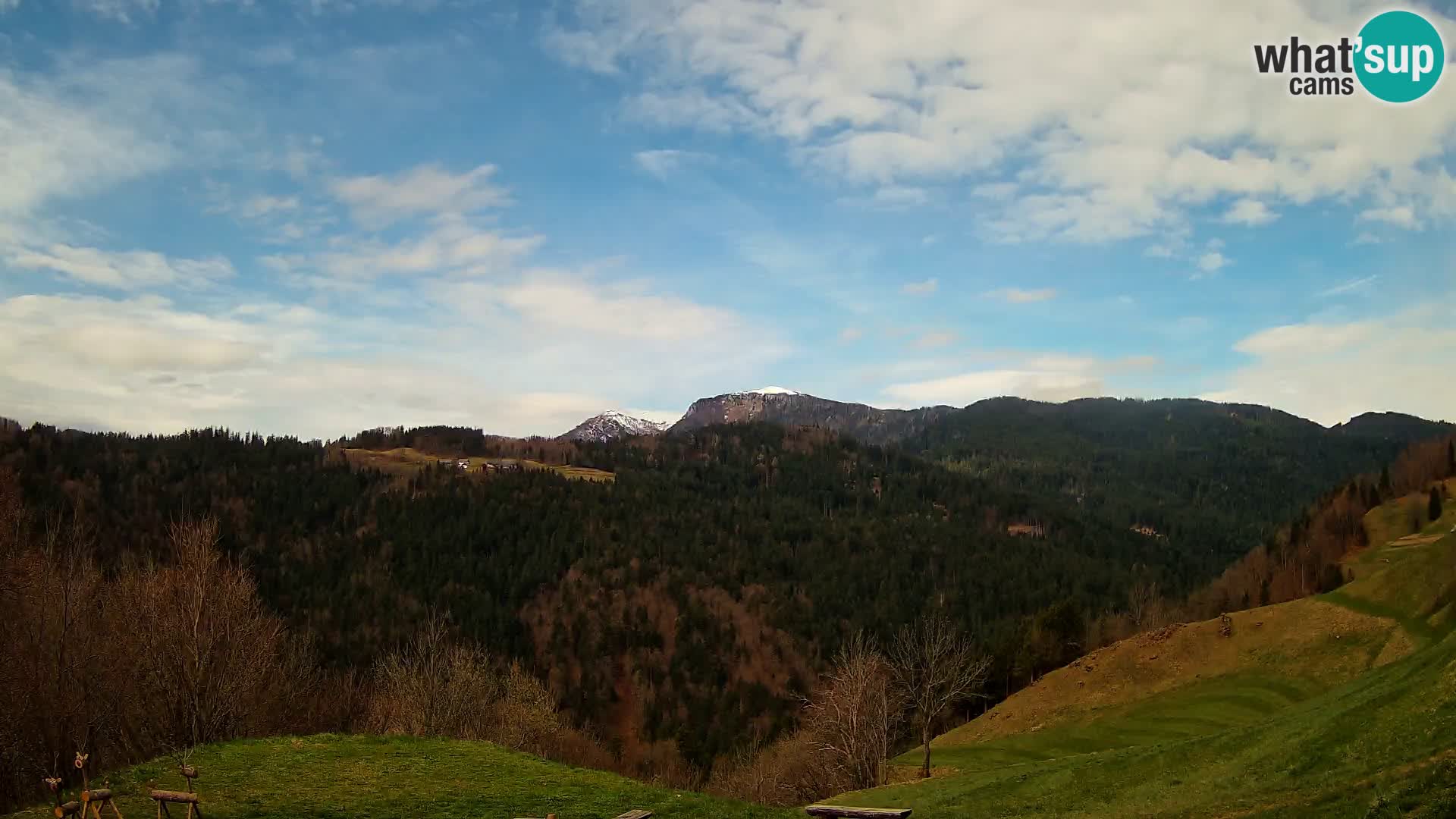 Webcam Brunarica Dražgoše – Live View of Ratitovec (1666 m)