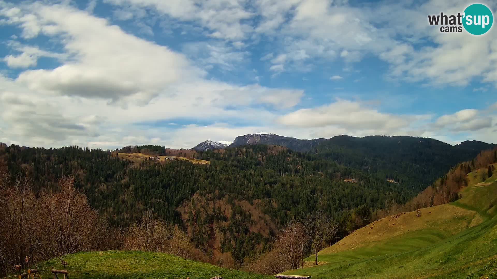 Webcam Brunarica Dražgoše – Live View of Ratitovec (1666 m)