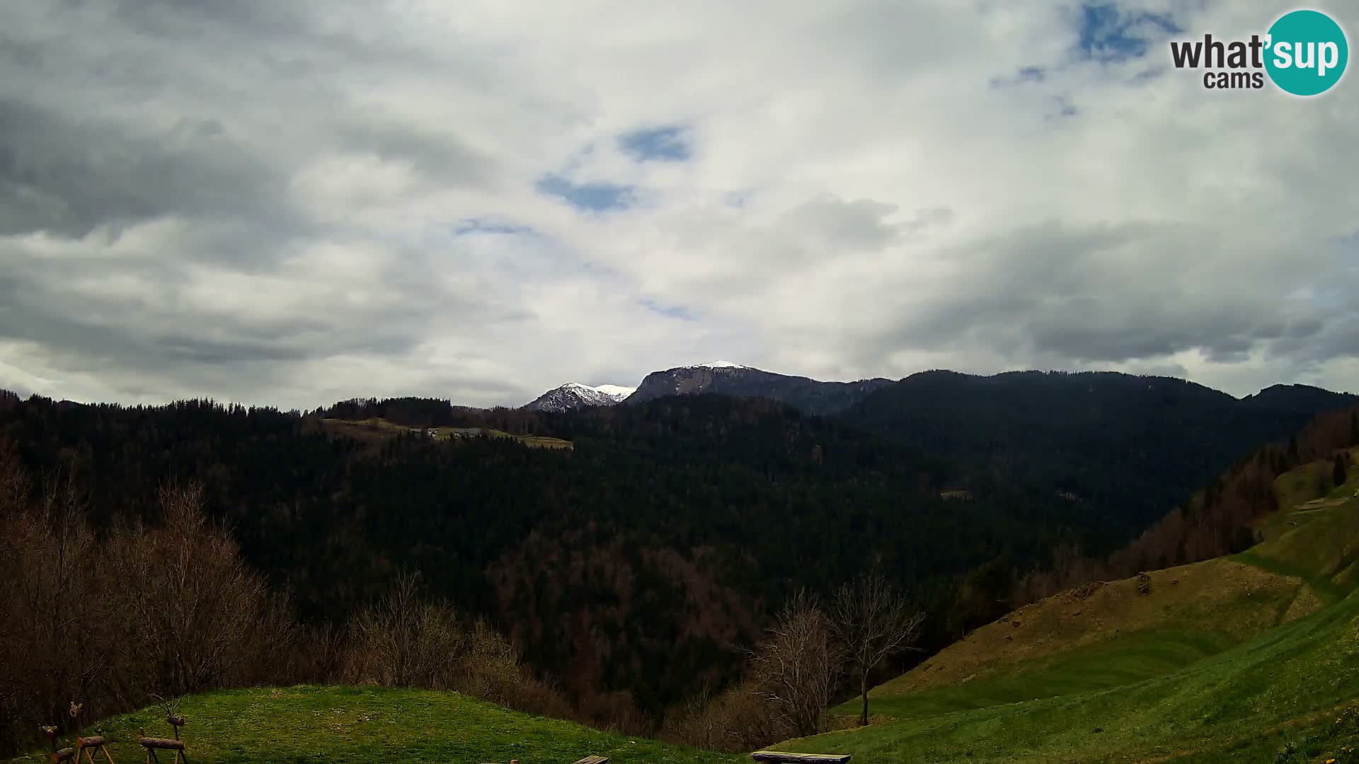 Webcam Brunarica Dražgoše – Live View of Ratitovec (1666 m)