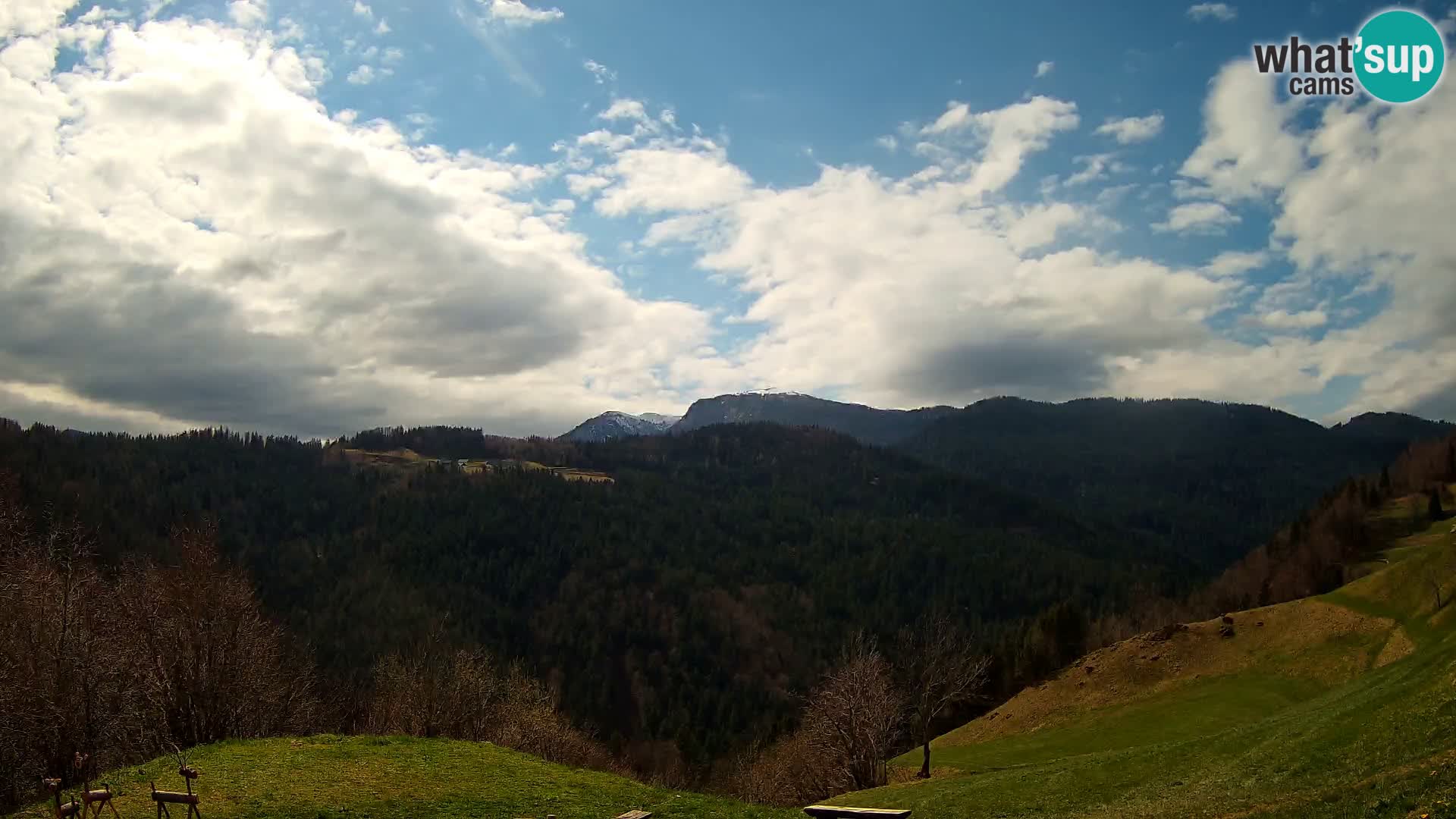 Webcam Brunarica Dražgoše – Live View of Ratitovec (1666 m)