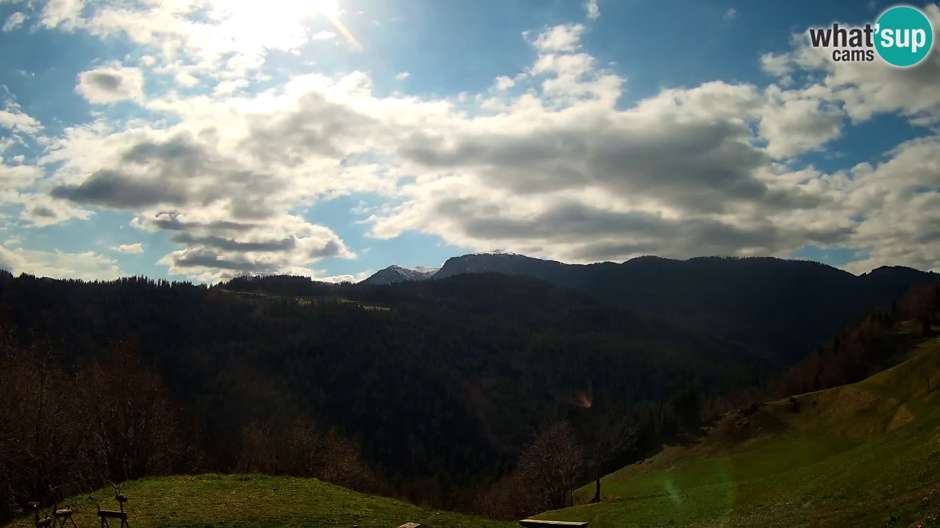 Webcam Brunarica Dražgoše – Live View of Ratitovec (1666 m)