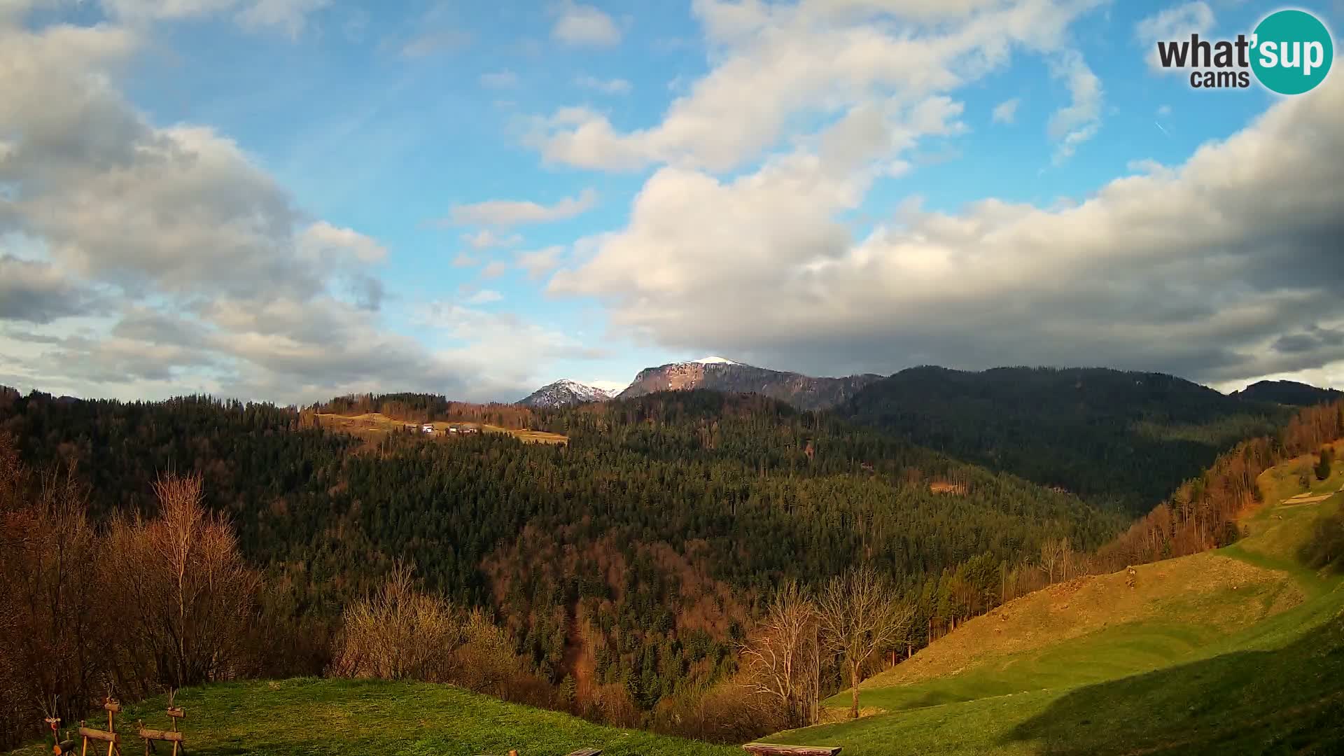 Webcam Brunarica Dražgoše – Live View of Ratitovec (1666 m)