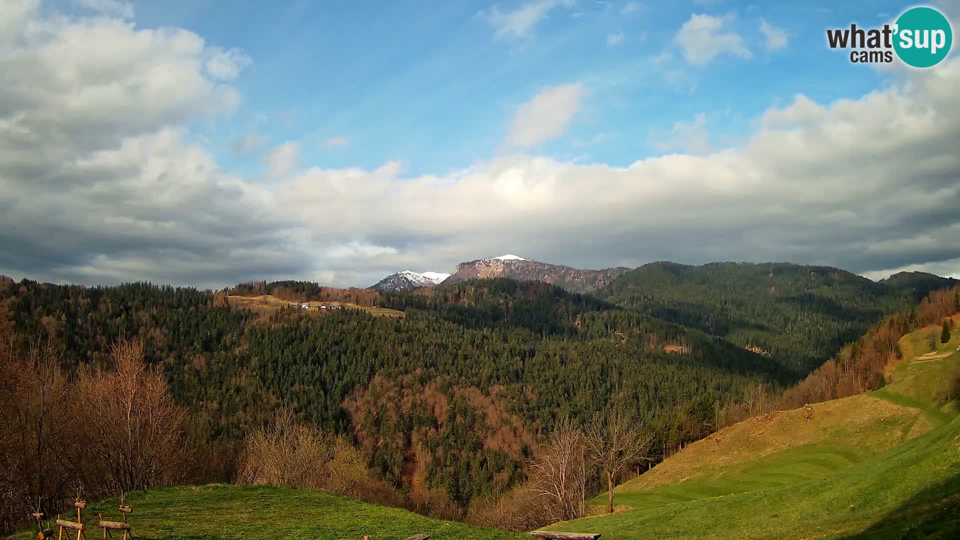 Webcam Brunarica Dražgoše – Live View of Ratitovec (1666 m)