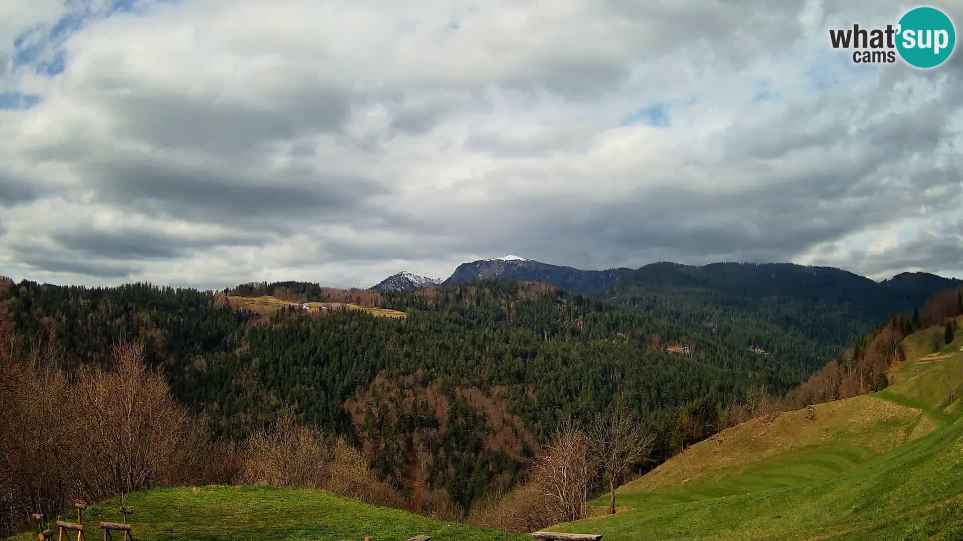 Webcam Brunarica Dražgoše – Live View of Ratitovec (1666 m)