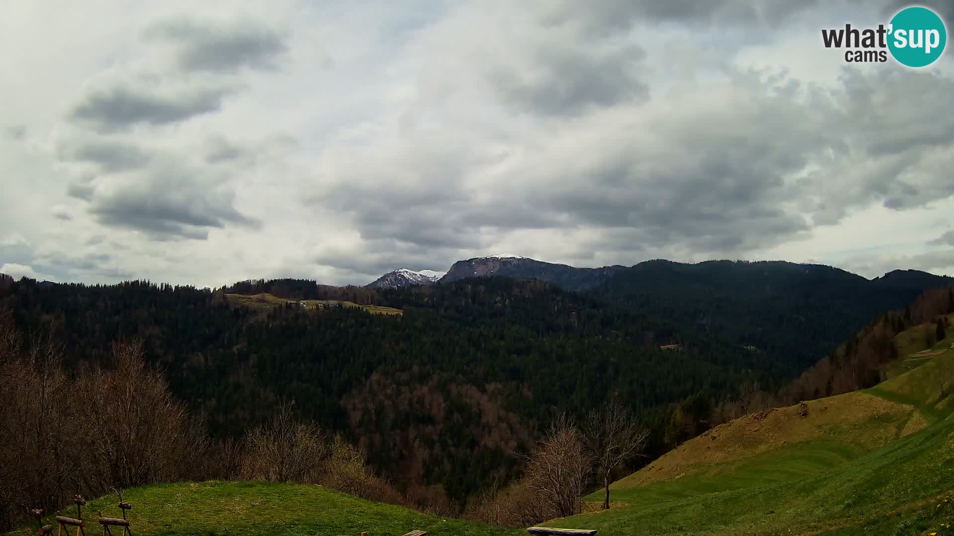 Webcam Brunarica Dražgoše – Live View of Ratitovec (1666 m)