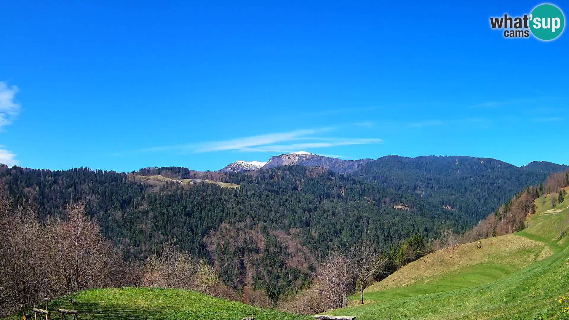 Webcam Brunarica Dražgoše – Live View of Ratitovec (1666 m)