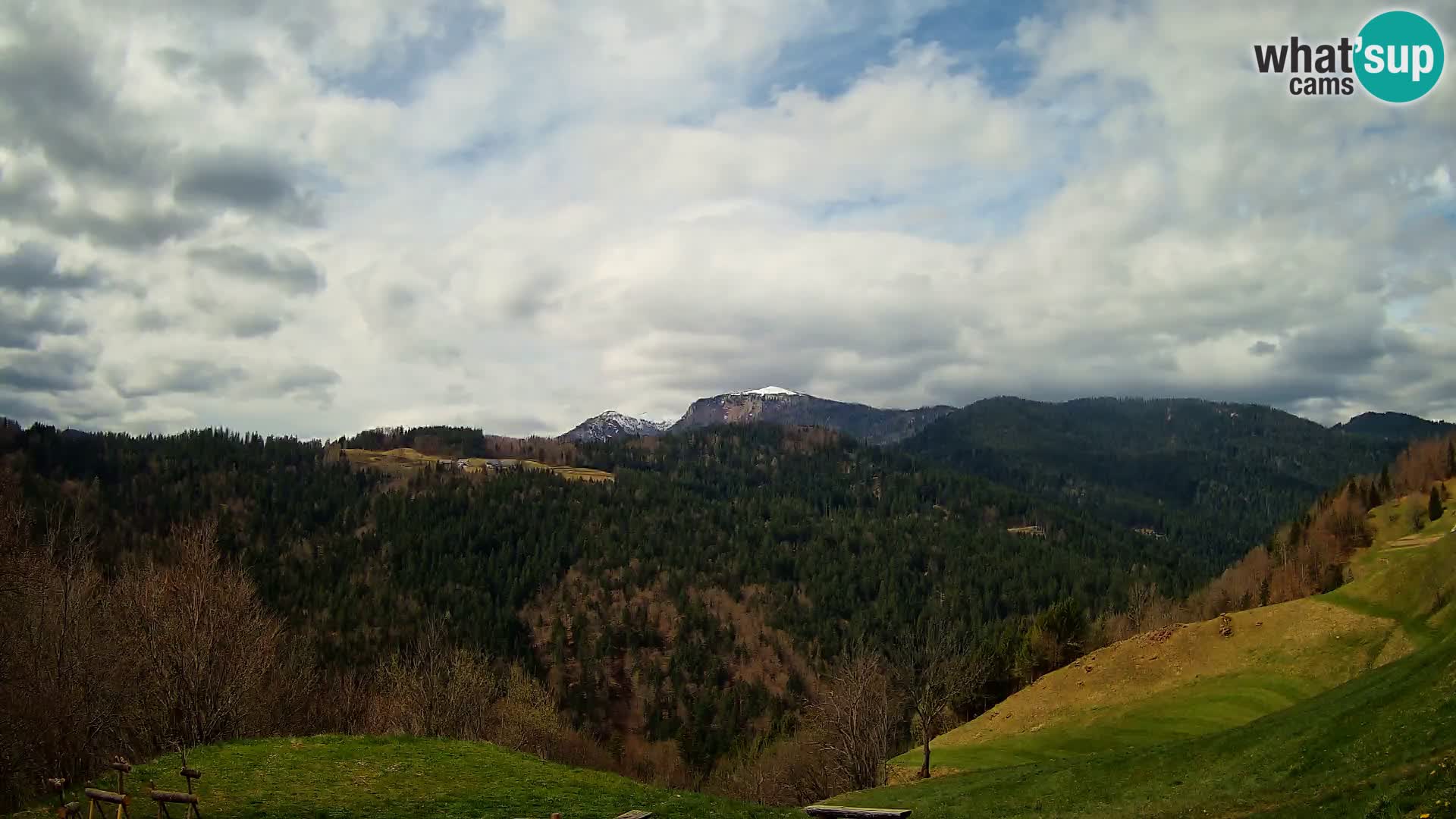 Webcam Brunarica Dražgoše – Live View of Ratitovec (1666 m)