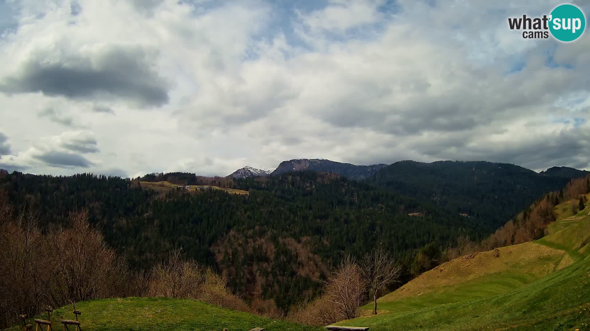 Webcam Brunarica Dražgoše – Live View of Ratitovec (1666 m)