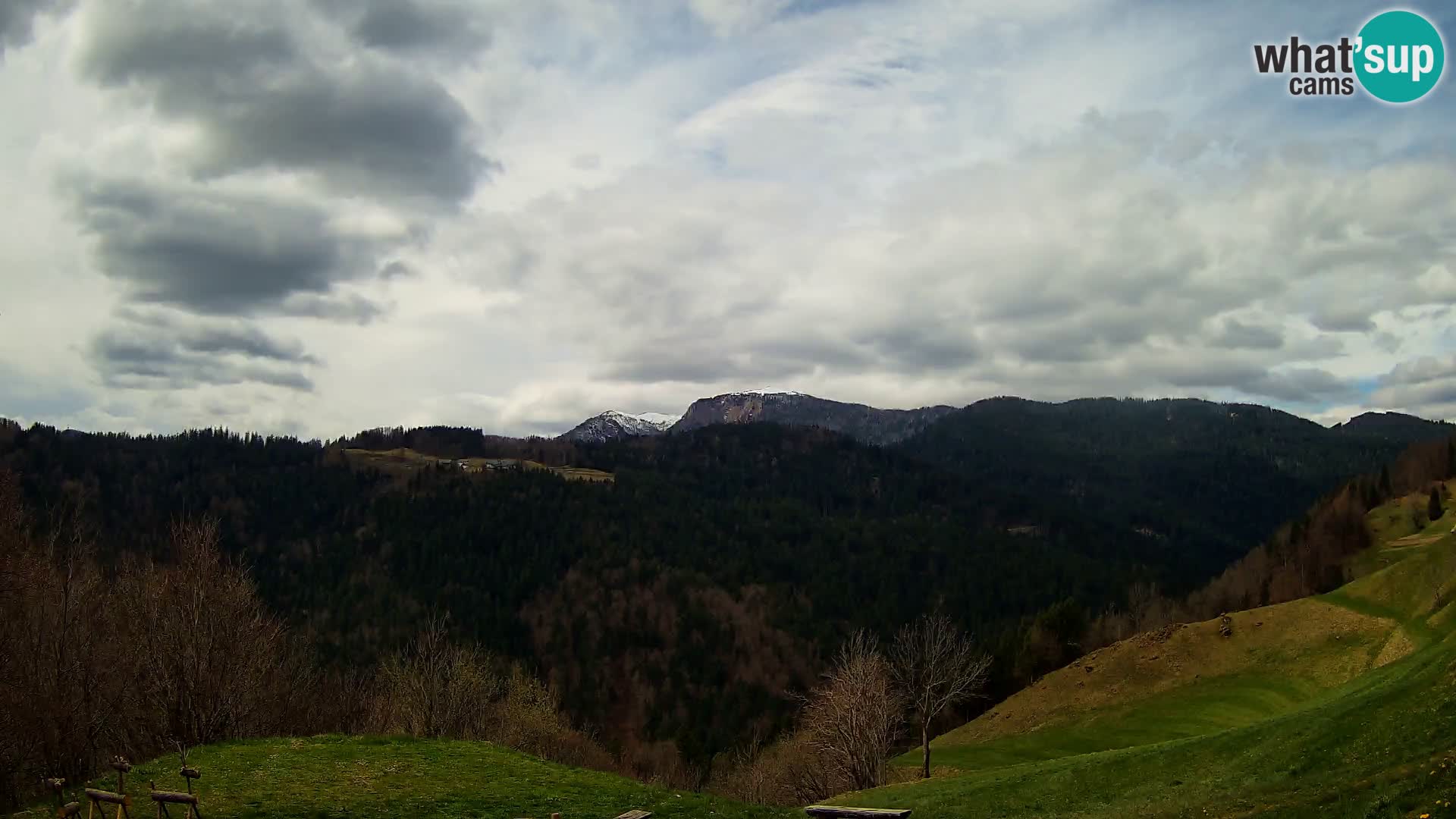 Webcam Brunarica Dražgoše – Live View of Ratitovec (1666 m)