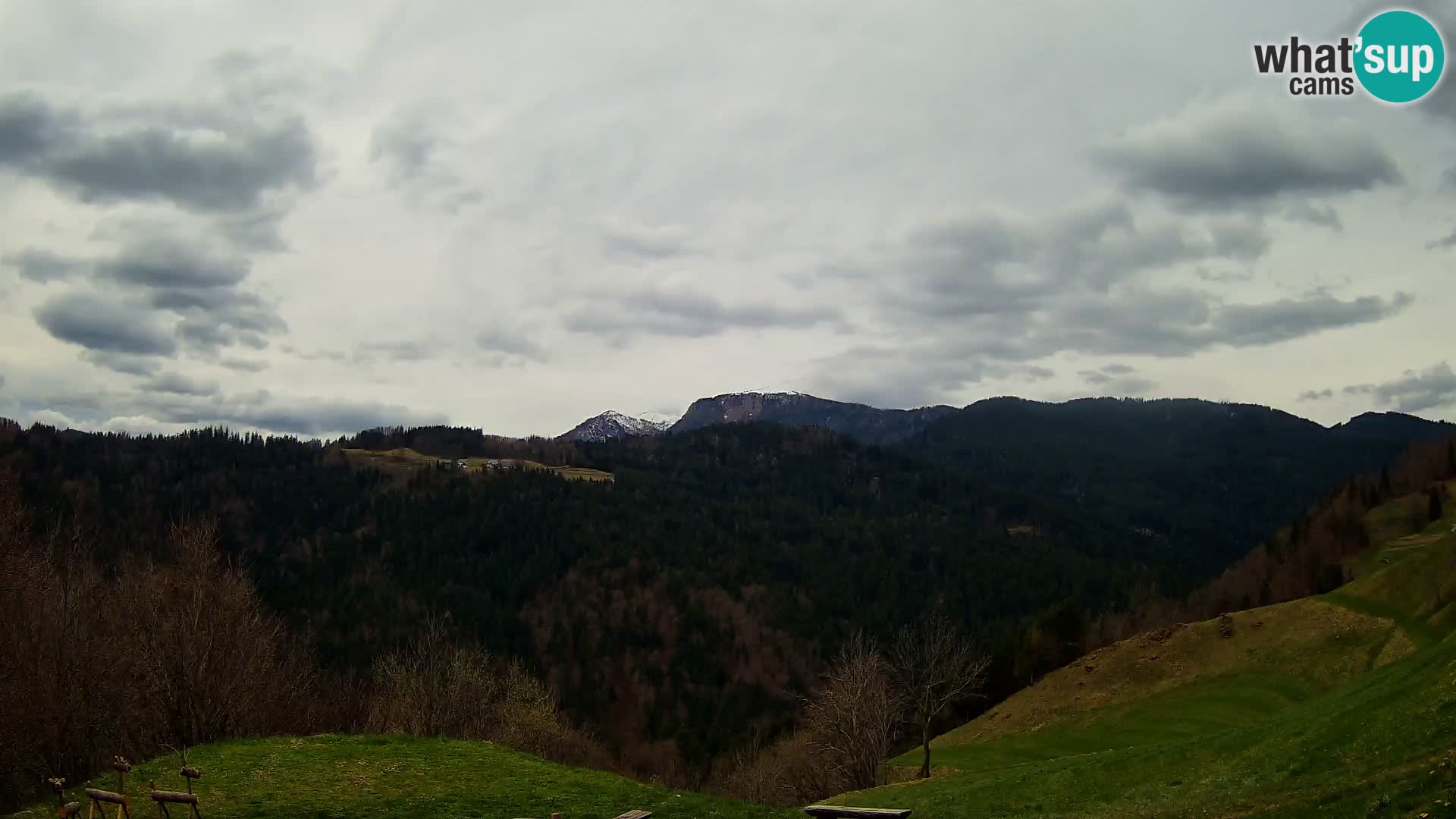 Webcam Brunarica Dražgoše – Live View of Ratitovec (1666 m)